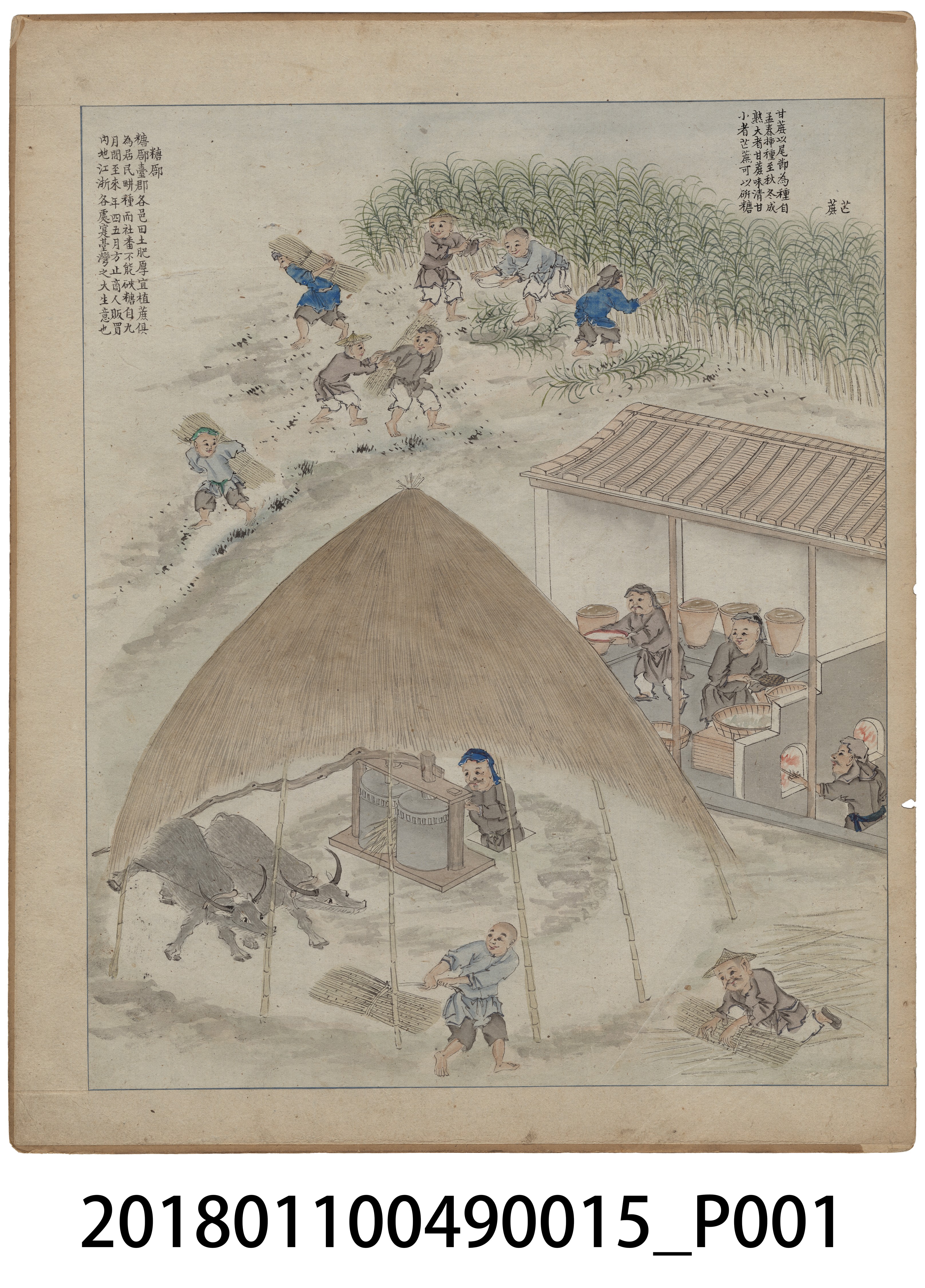 「番社采風圖 糖廍」 (共3張)