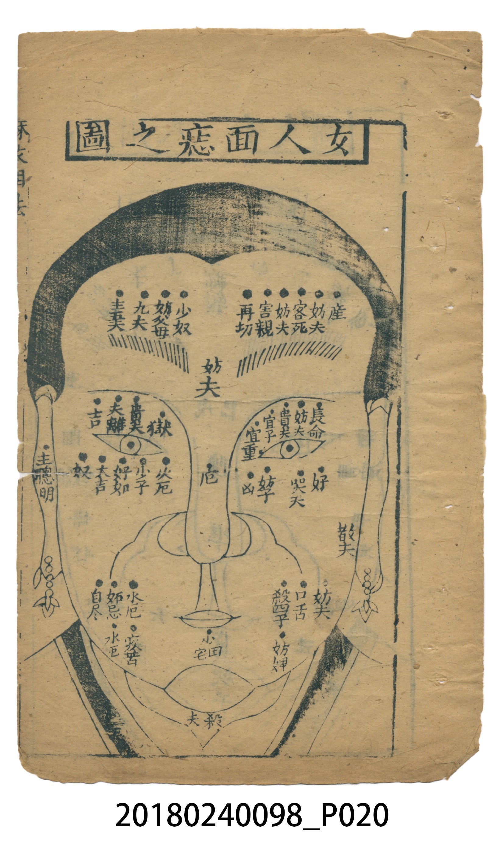 麻衣相法 (共83張)