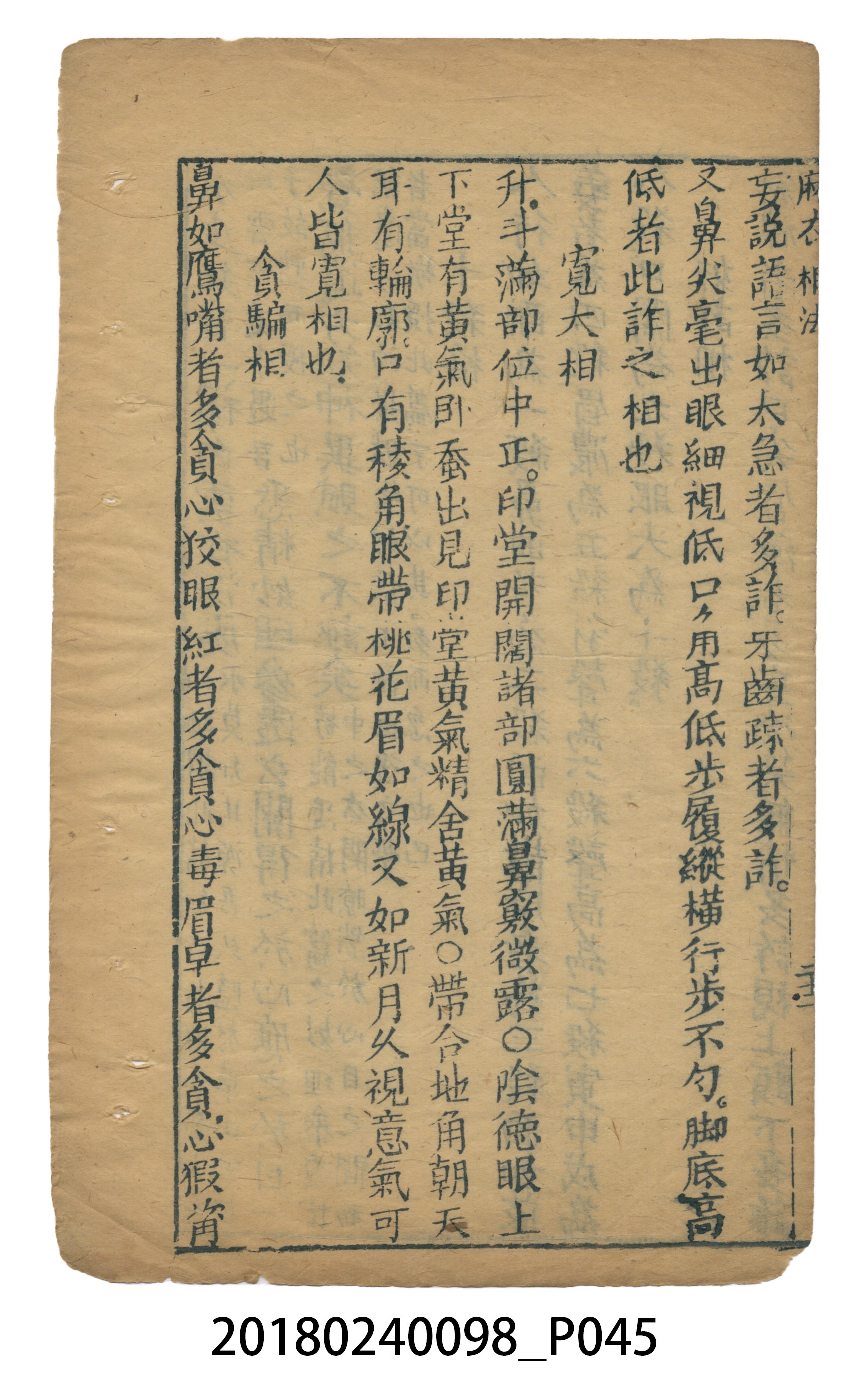 麻衣相法 (共83張)