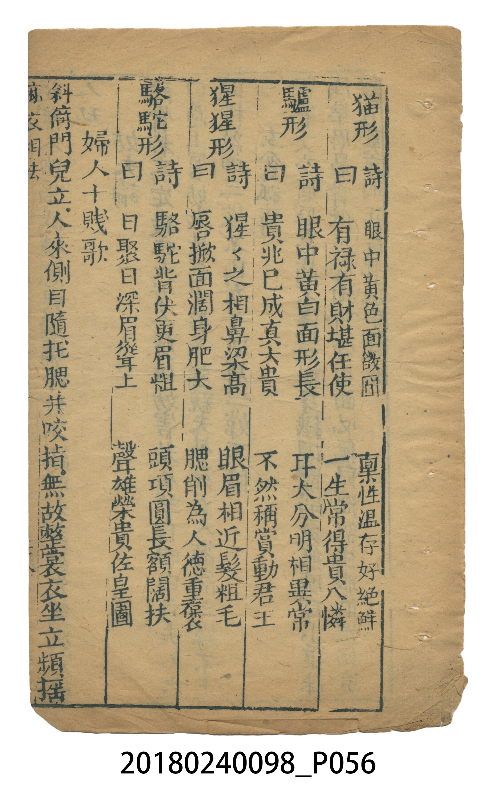 麻衣相法 (共83張)