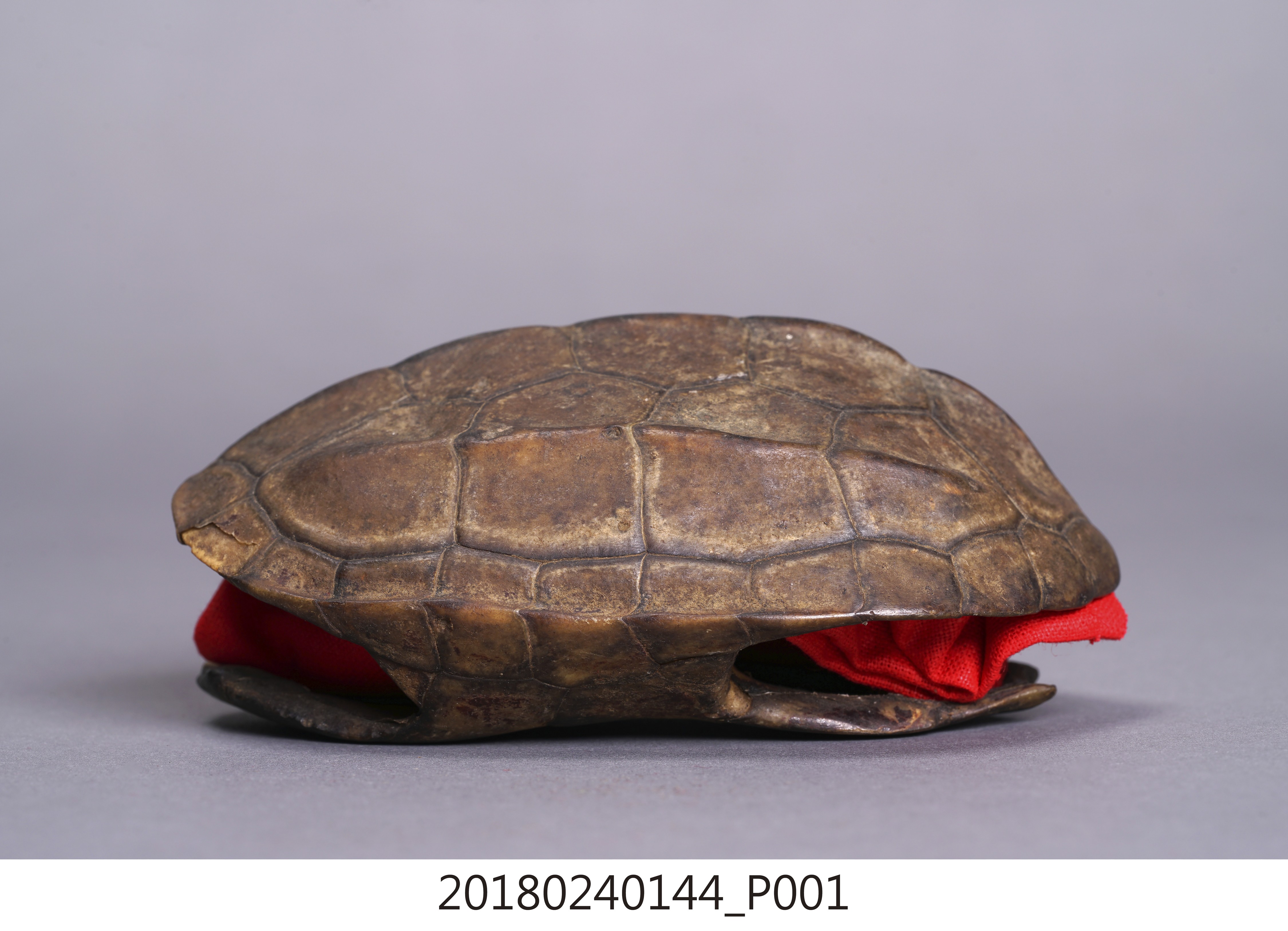龜卦 (共18張)