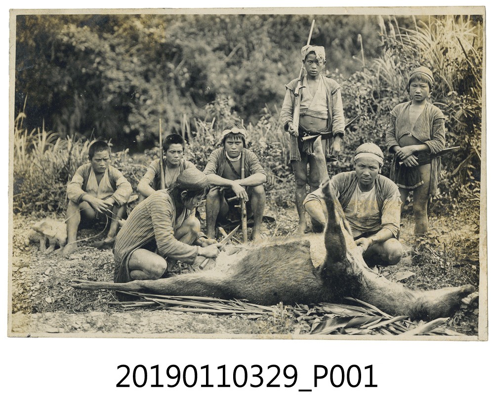 日治時期原住民與獵物合影 (共3張)