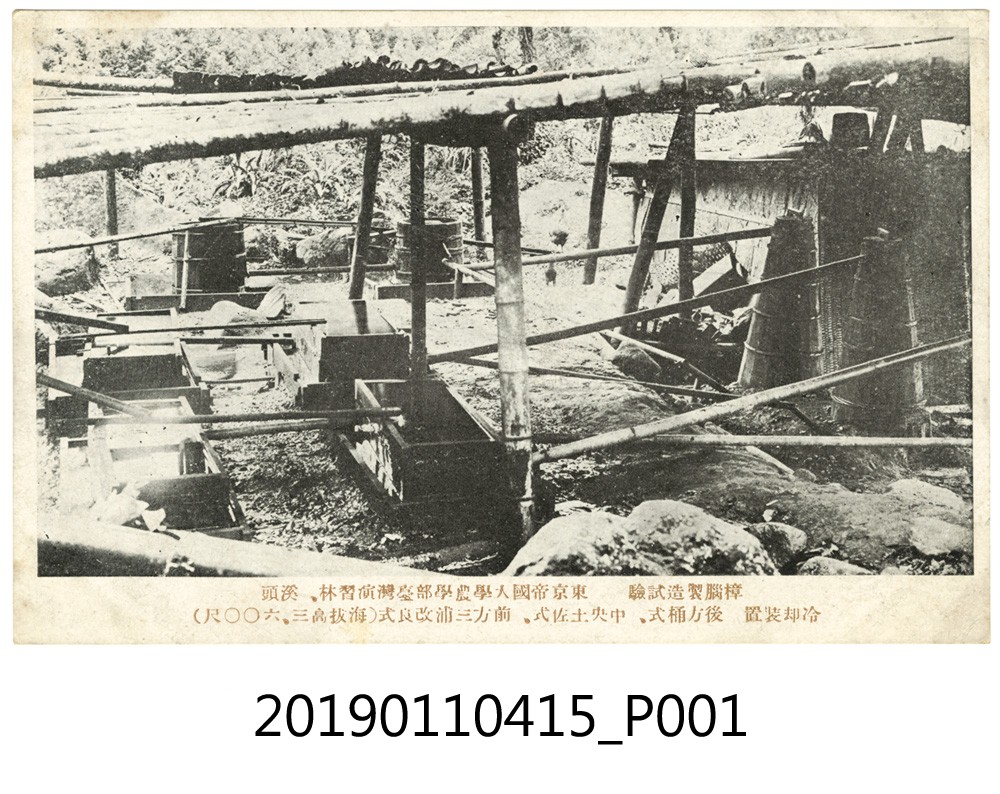 東京帝國大學農學部臺灣溪頭試驗林樟腦製造試驗明信片 (共3張)