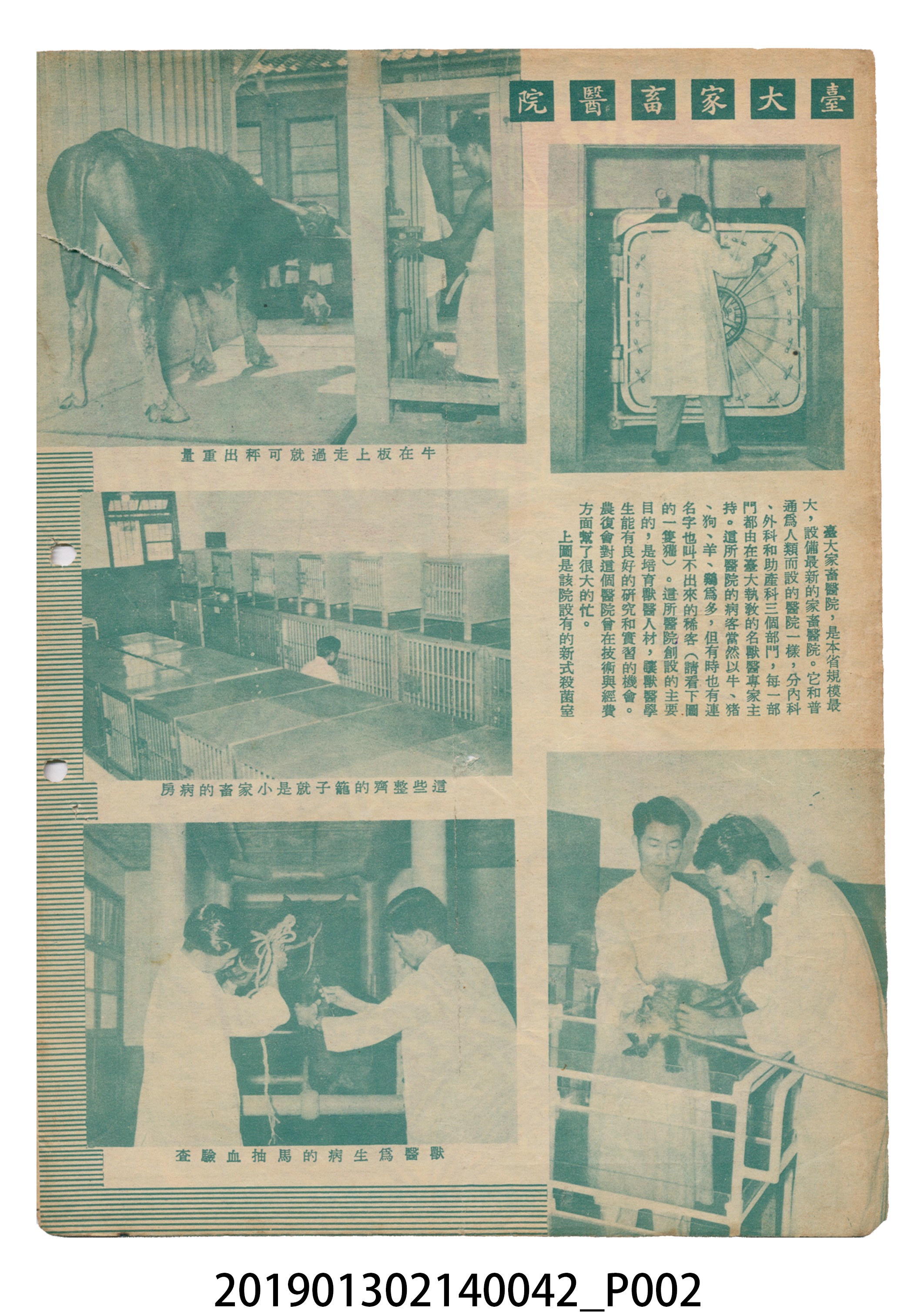 1955年7月16日《豐年》第5卷第14期 (共37張)