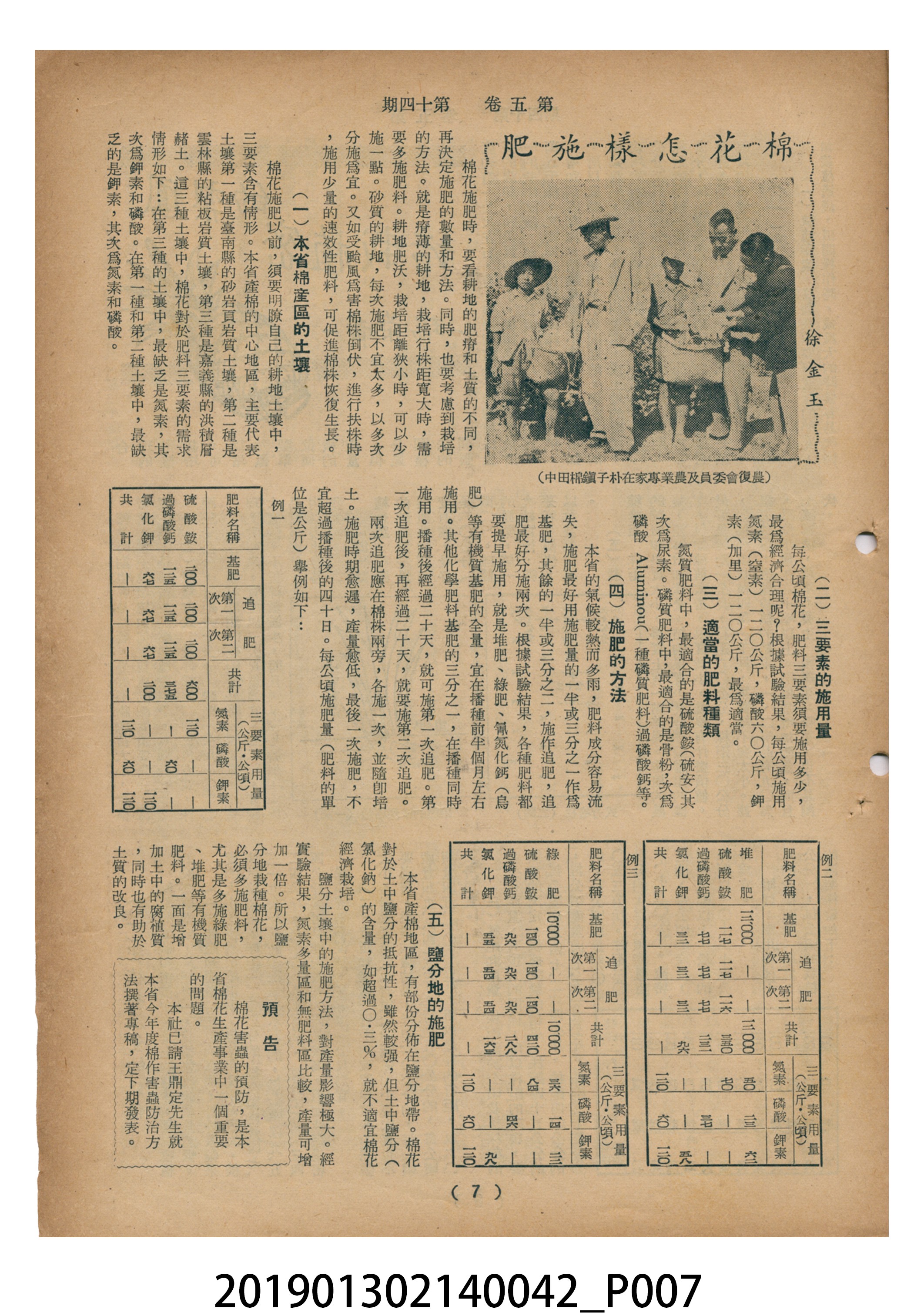 1955年7月16日《豐年》第5卷第14期 (共37張)