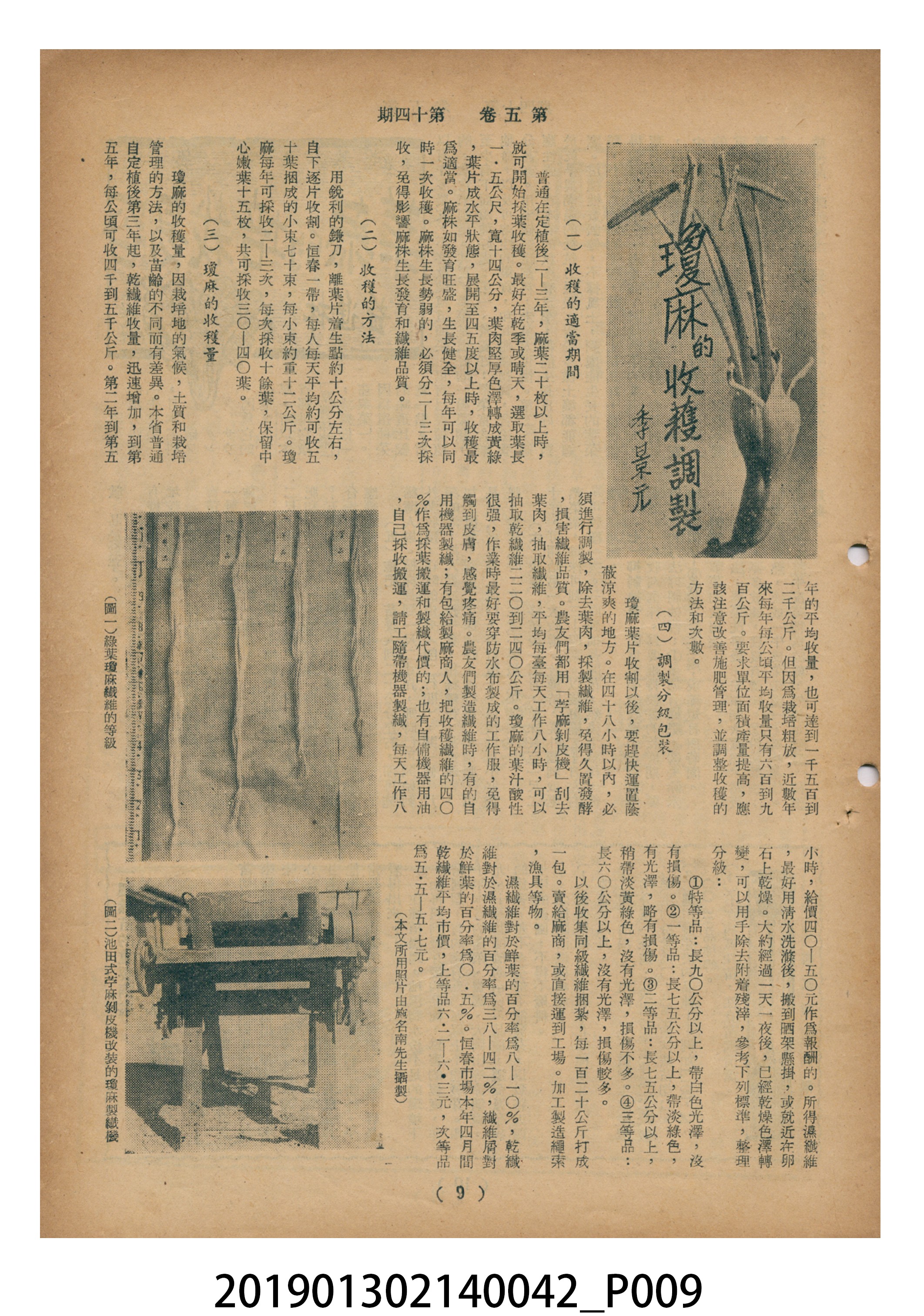 1955年7月16日《豐年》第5卷第14期 (共37張)