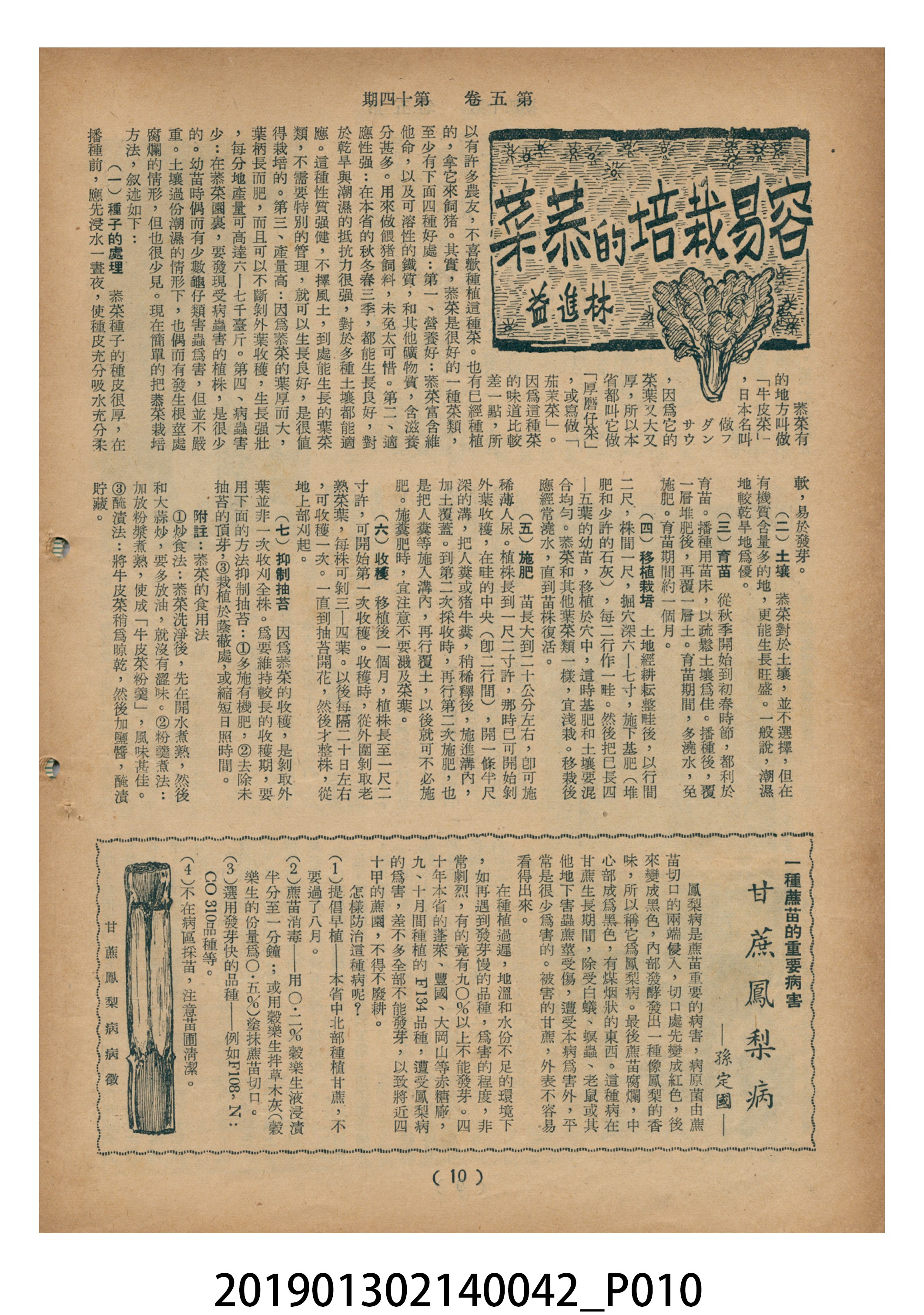 1955年7月16日《豐年》第5卷第14期 (共37張)