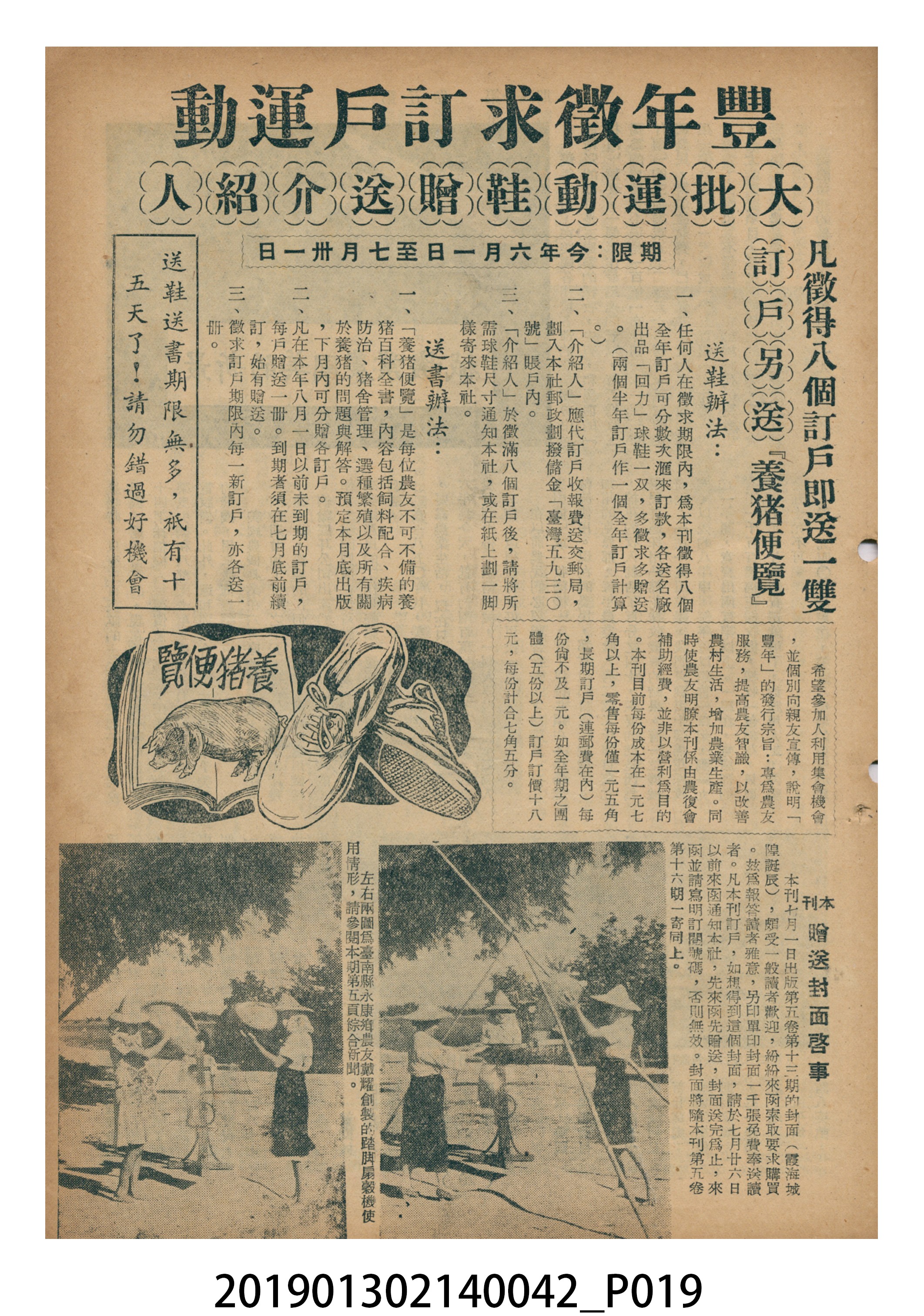 1955年7月16日《豐年》第5卷第14期 (共37張)