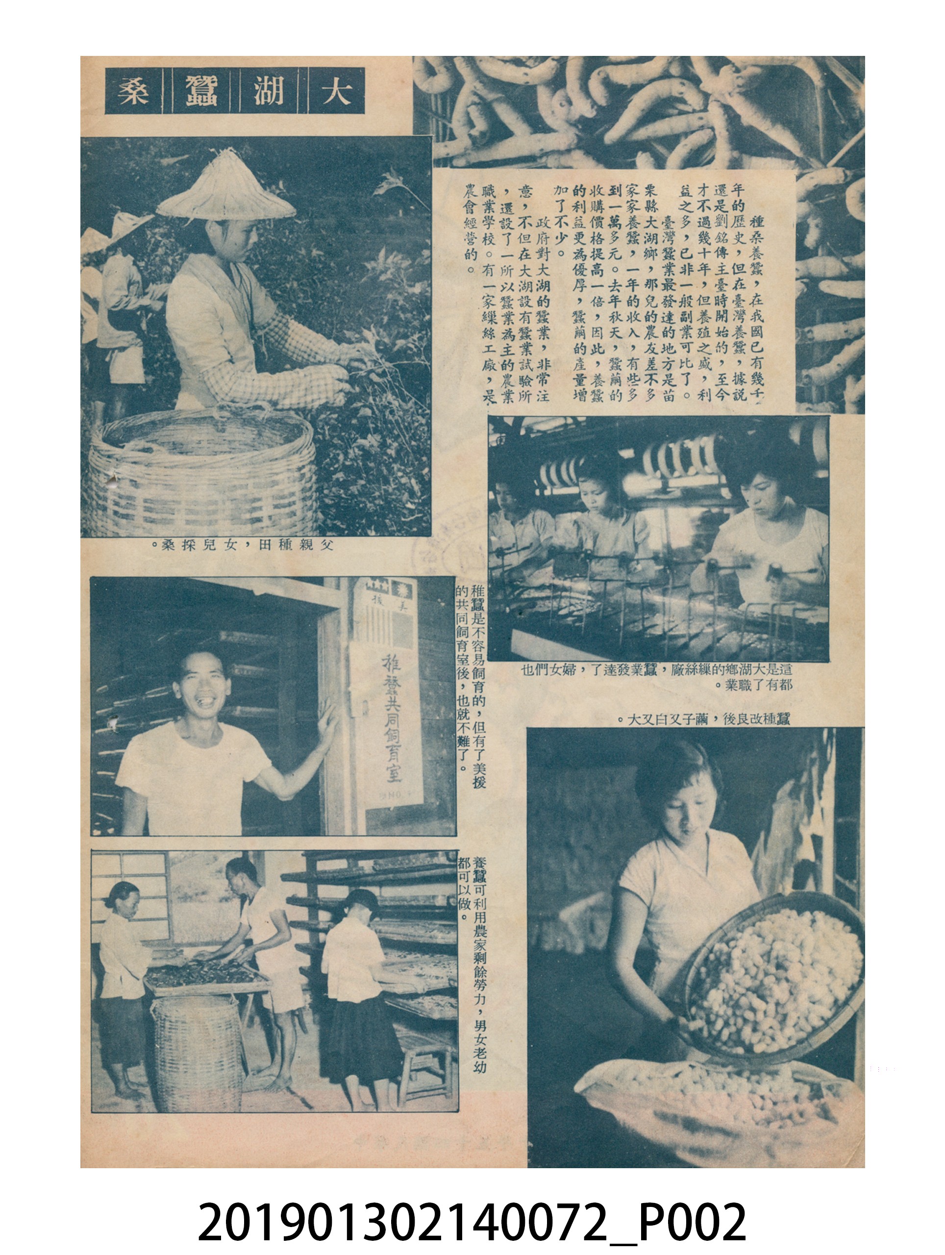 1956年10月16日《豐年》第6卷第20期 (共33張)