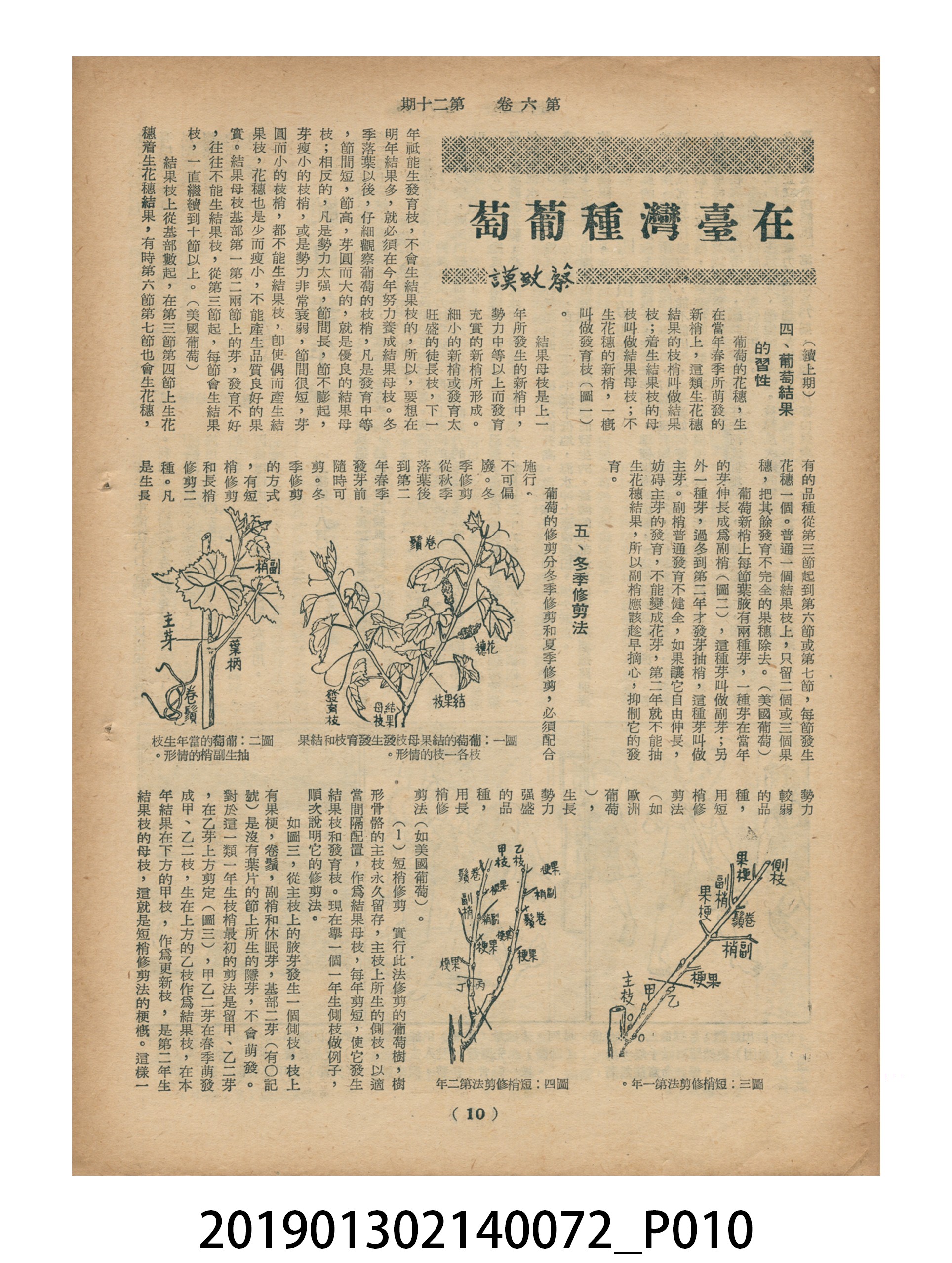 1956年10月16日《豐年》第6卷第20期 (共33張)