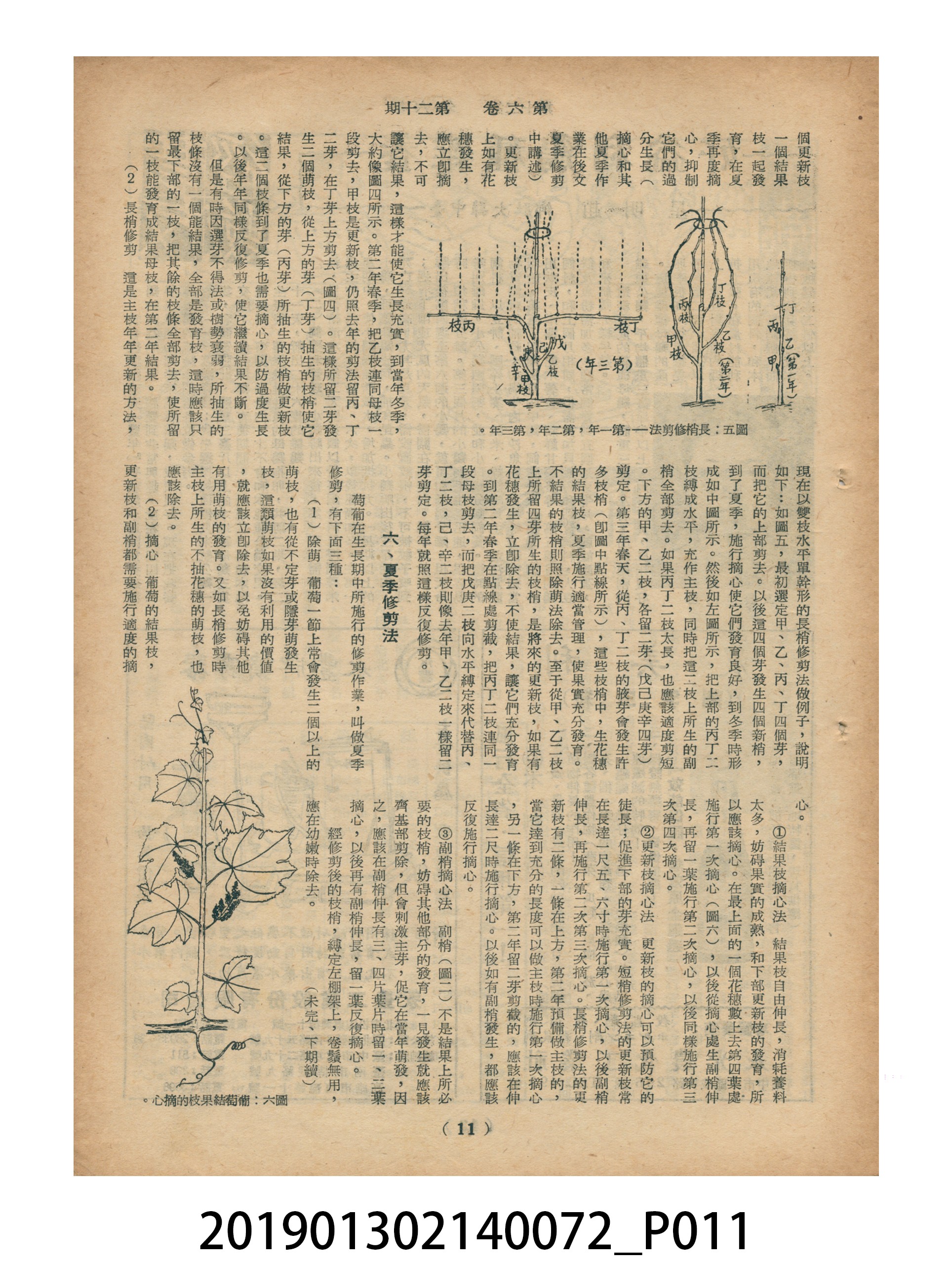1956年10月16日《豐年》第6卷第20期 (共33張)