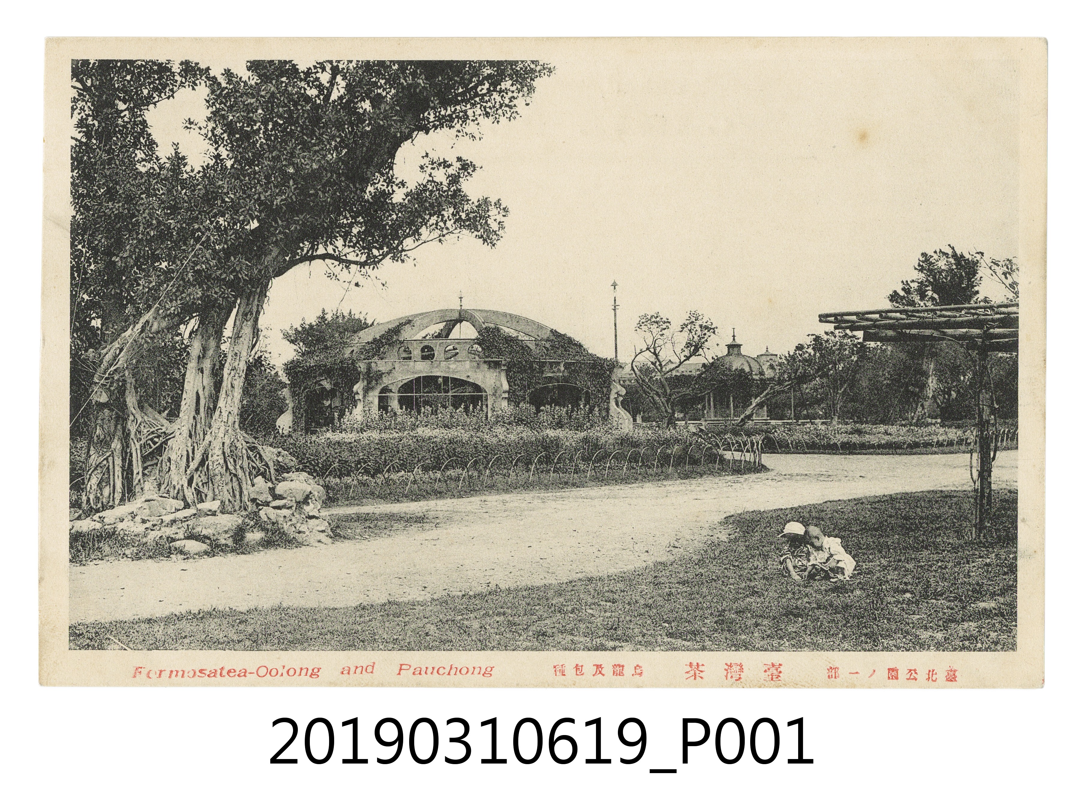 臺灣茶臺北公園孩童風景明信片 (共4張)