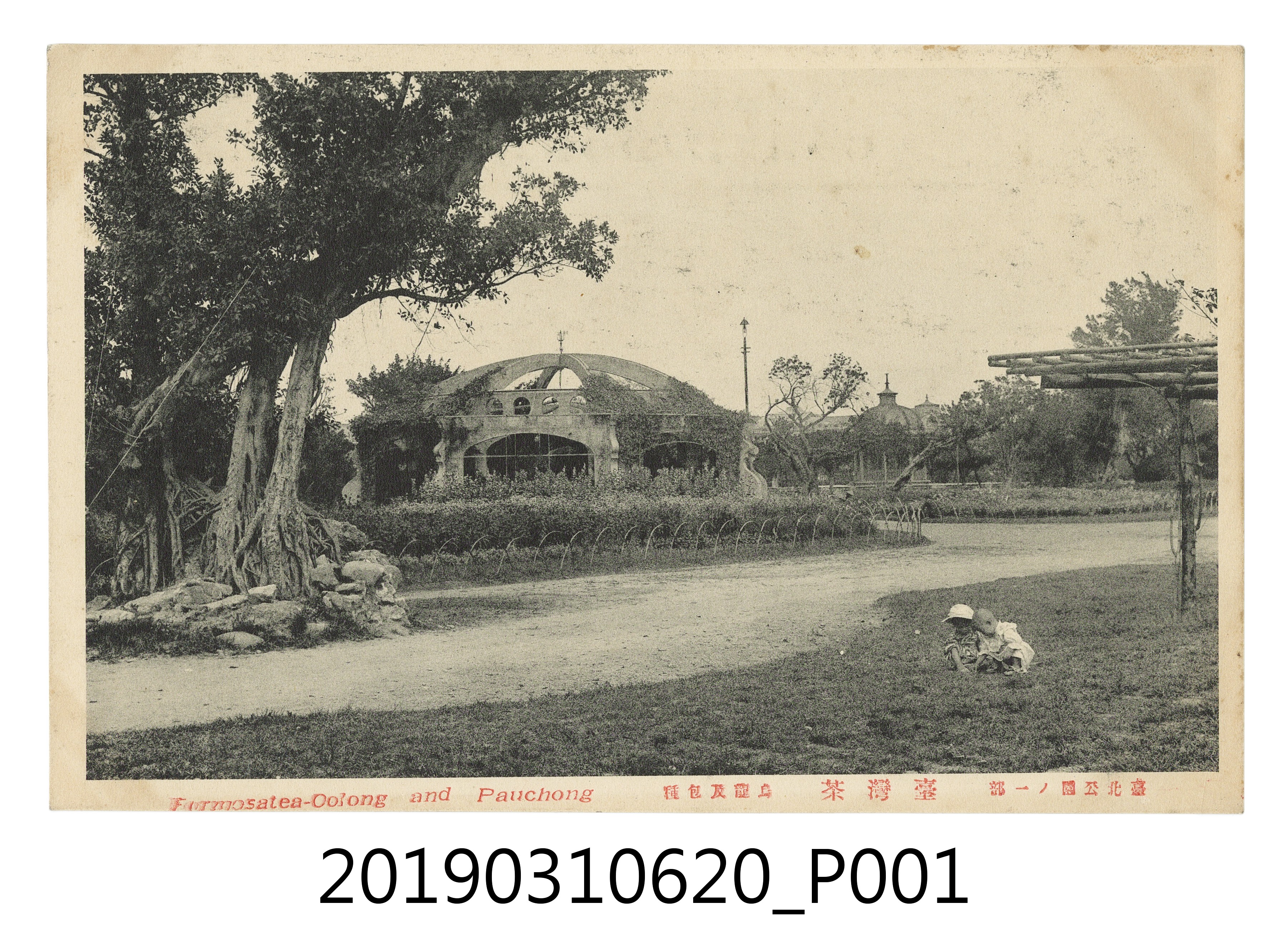 臺灣茶臺北公園孩童風景明信片 (共4張)