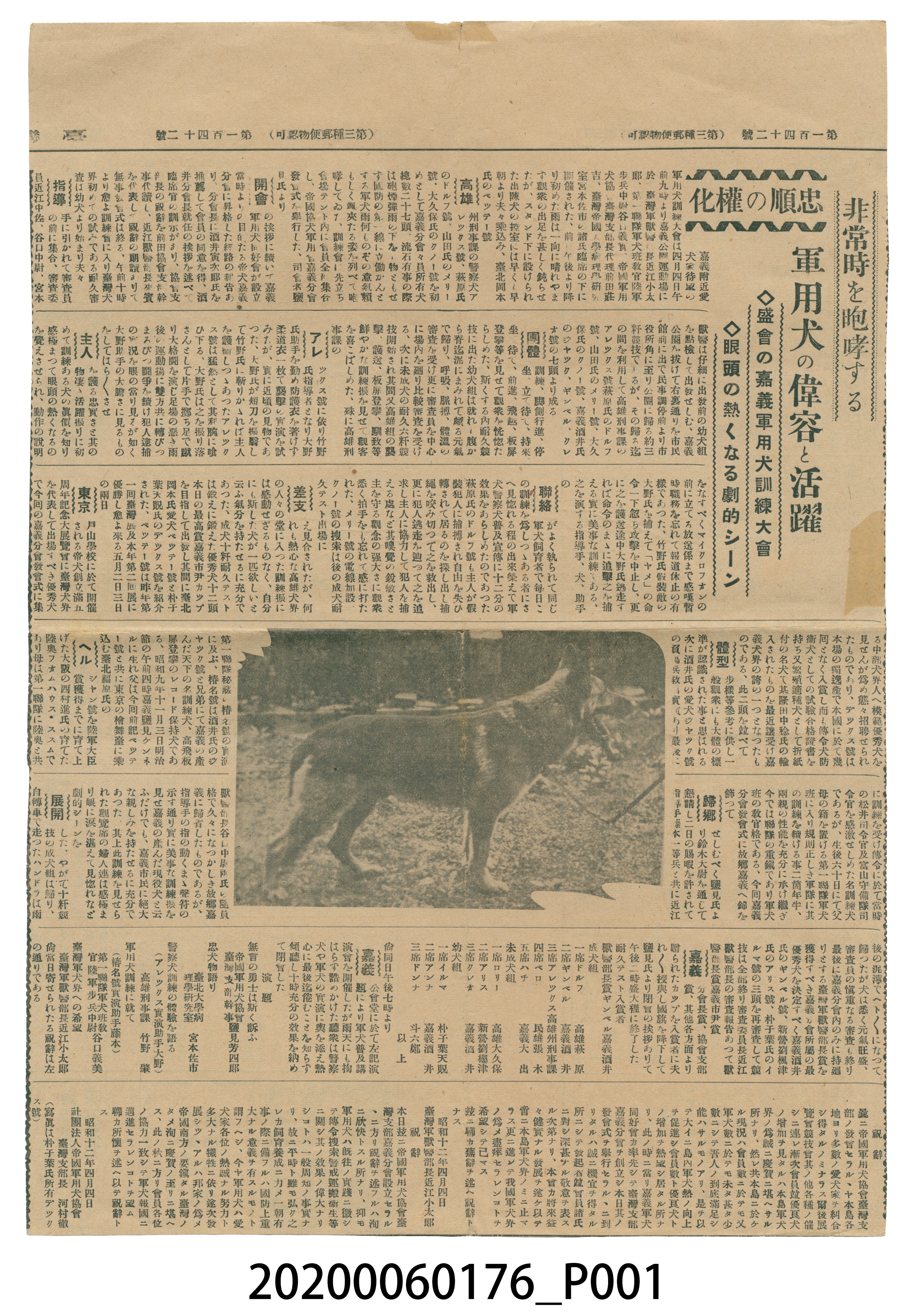 軍用犬剪報 (共2張)