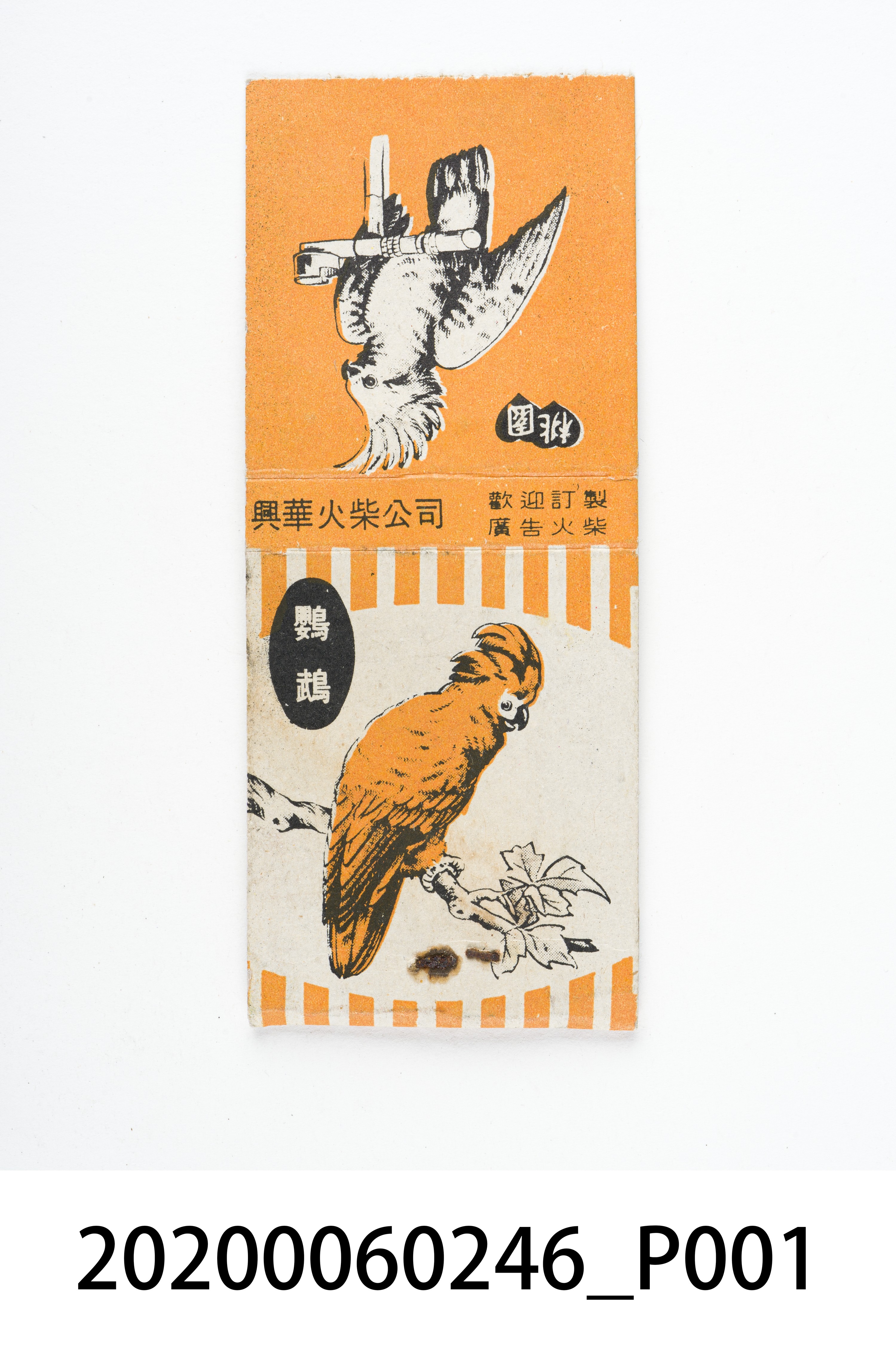 興華火柴公司：鸚鵡 (共7張)