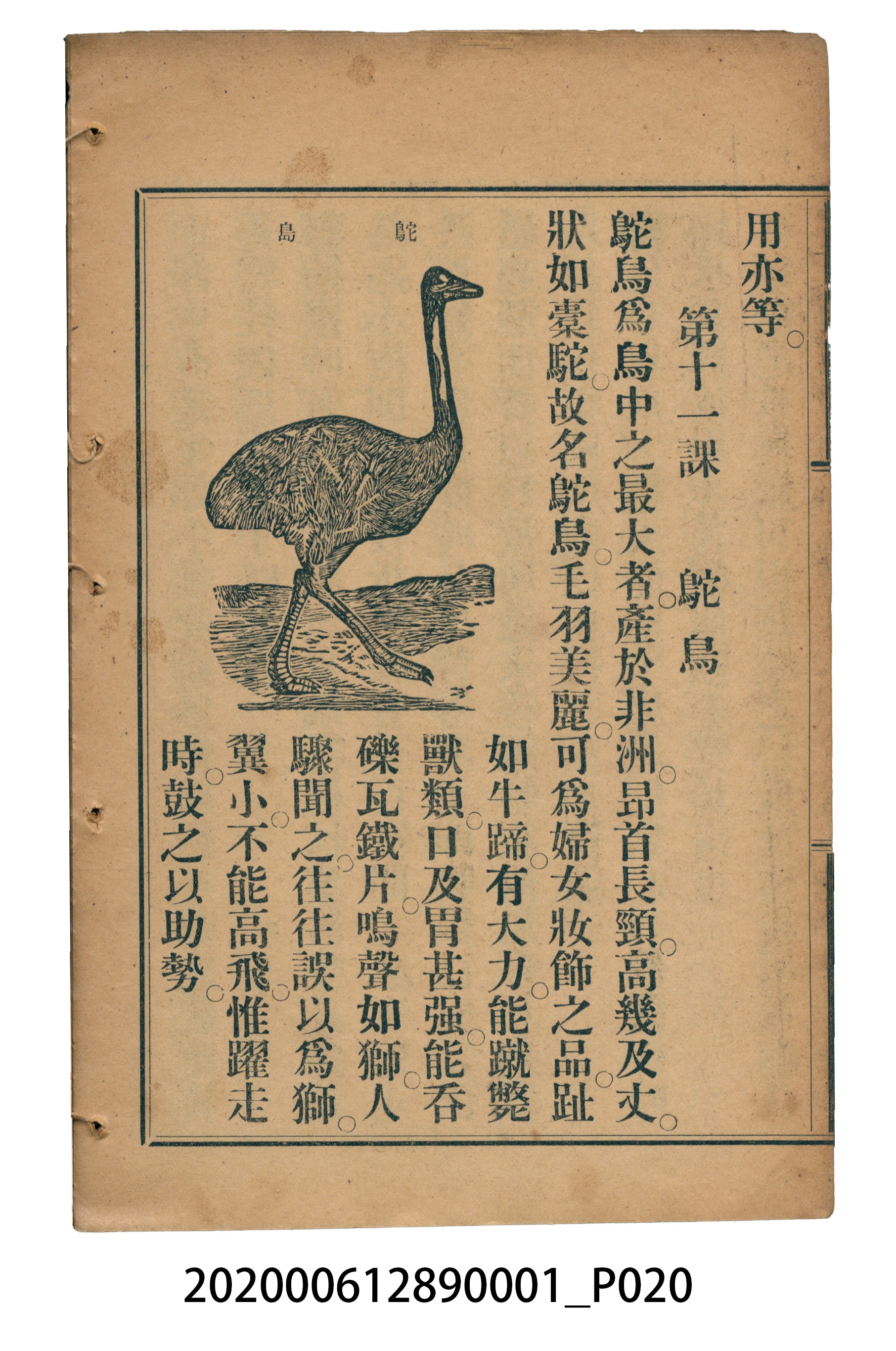 許深溪著《中學程度高等漢文讀本第一冊》 (共78張)