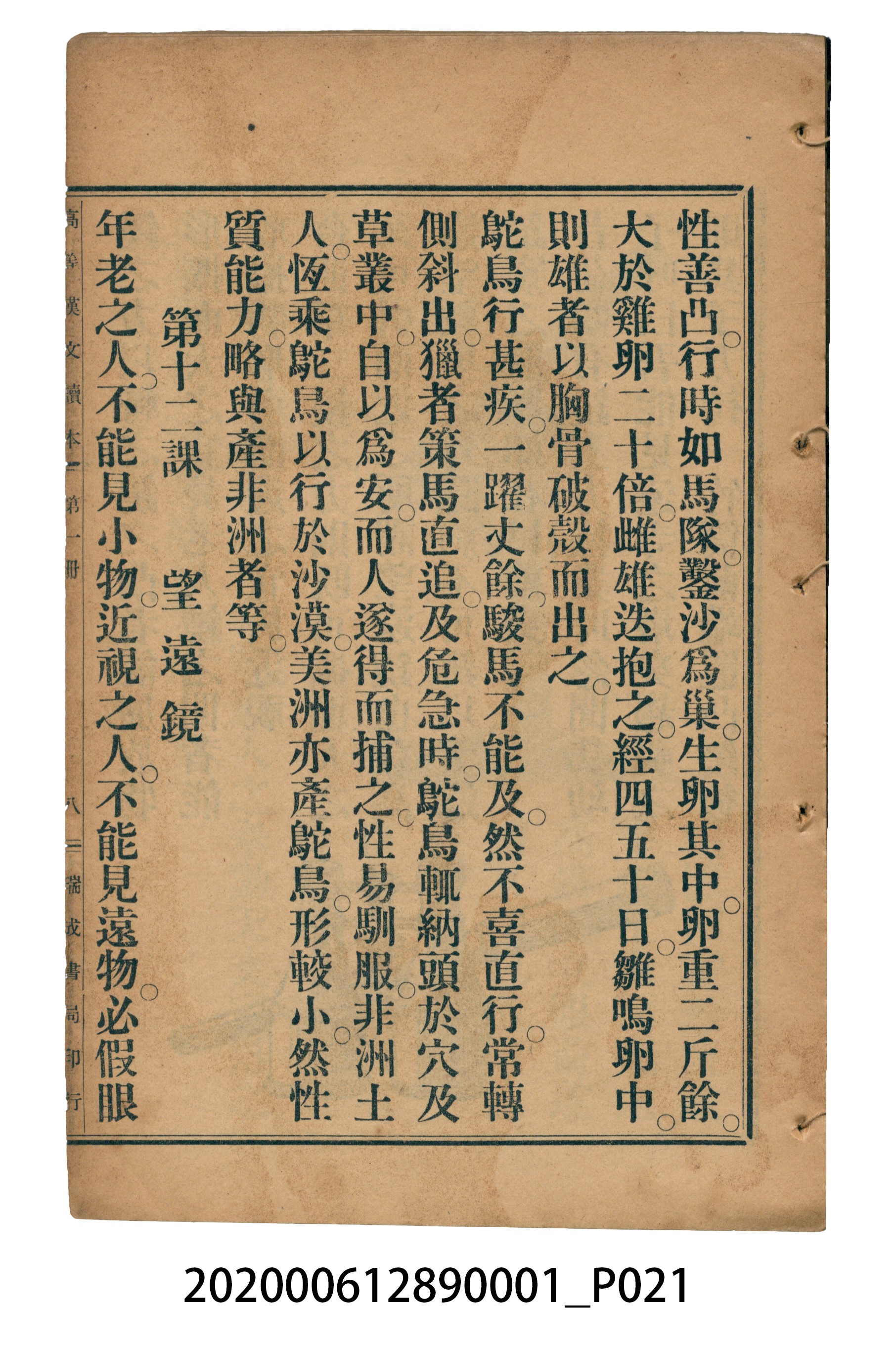 許深溪著《中學程度高等漢文讀本第一冊》 (共78張)