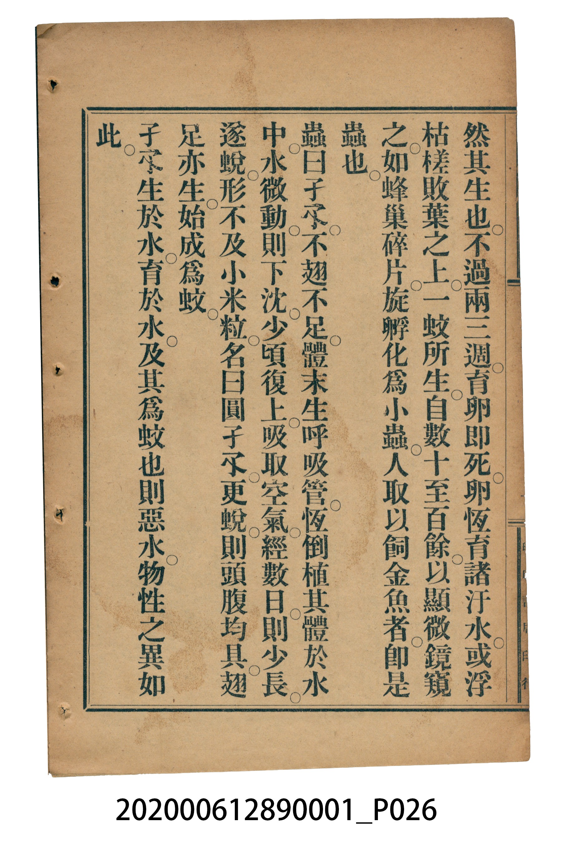 許深溪著《中學程度高等漢文讀本第一冊》 (共78張)