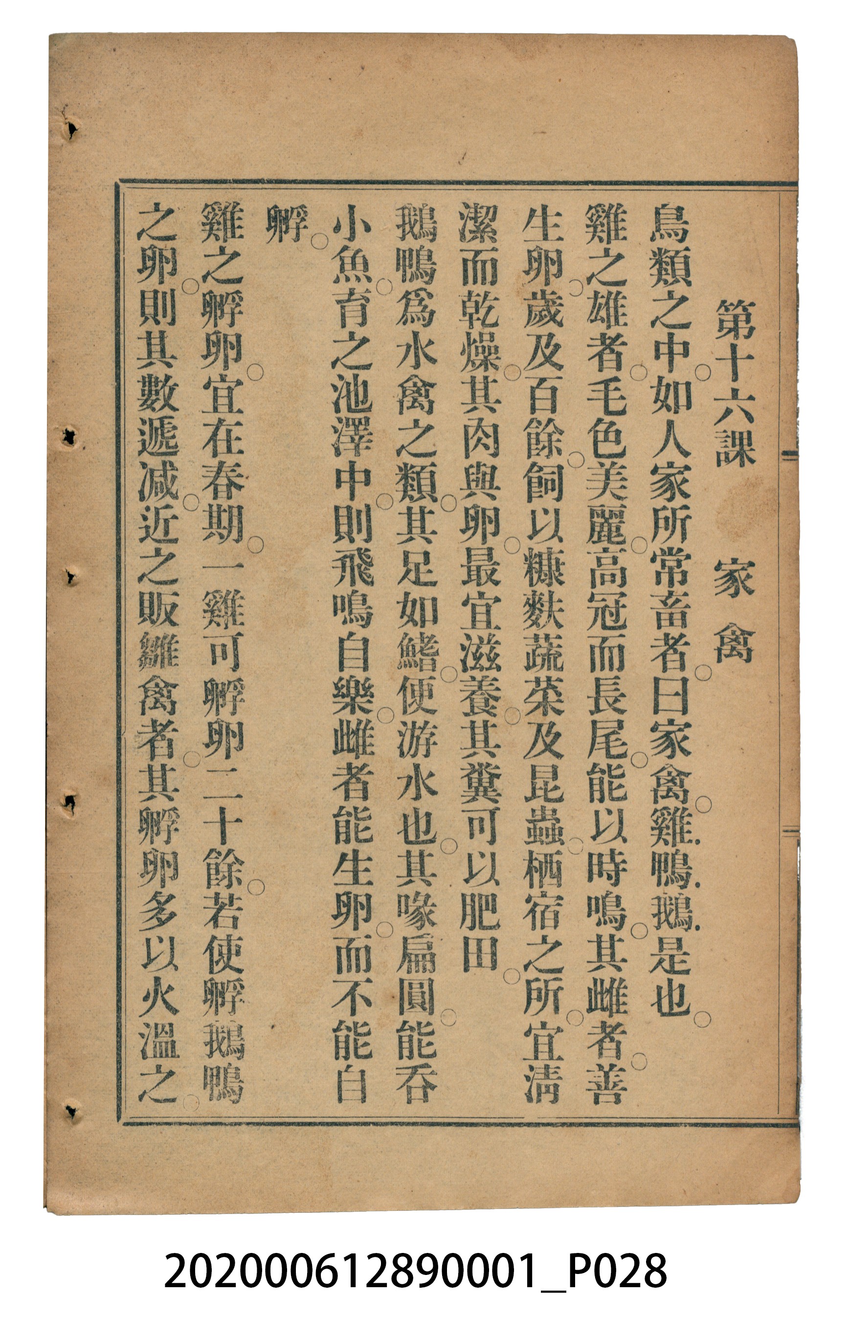 許深溪著《中學程度高等漢文讀本第一冊》 (共78張)