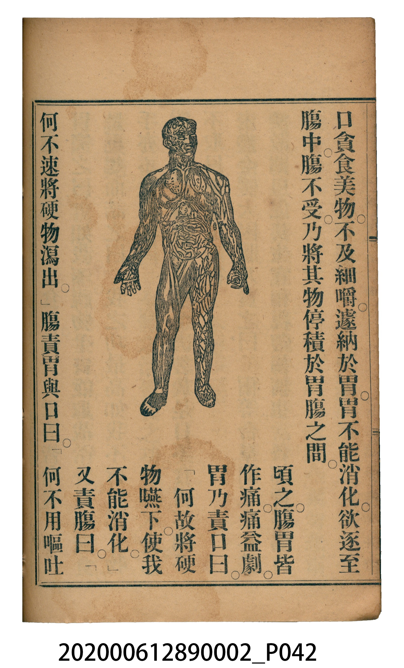 許金波著《中學程度高等漢文讀本第二冊》 (共74張)