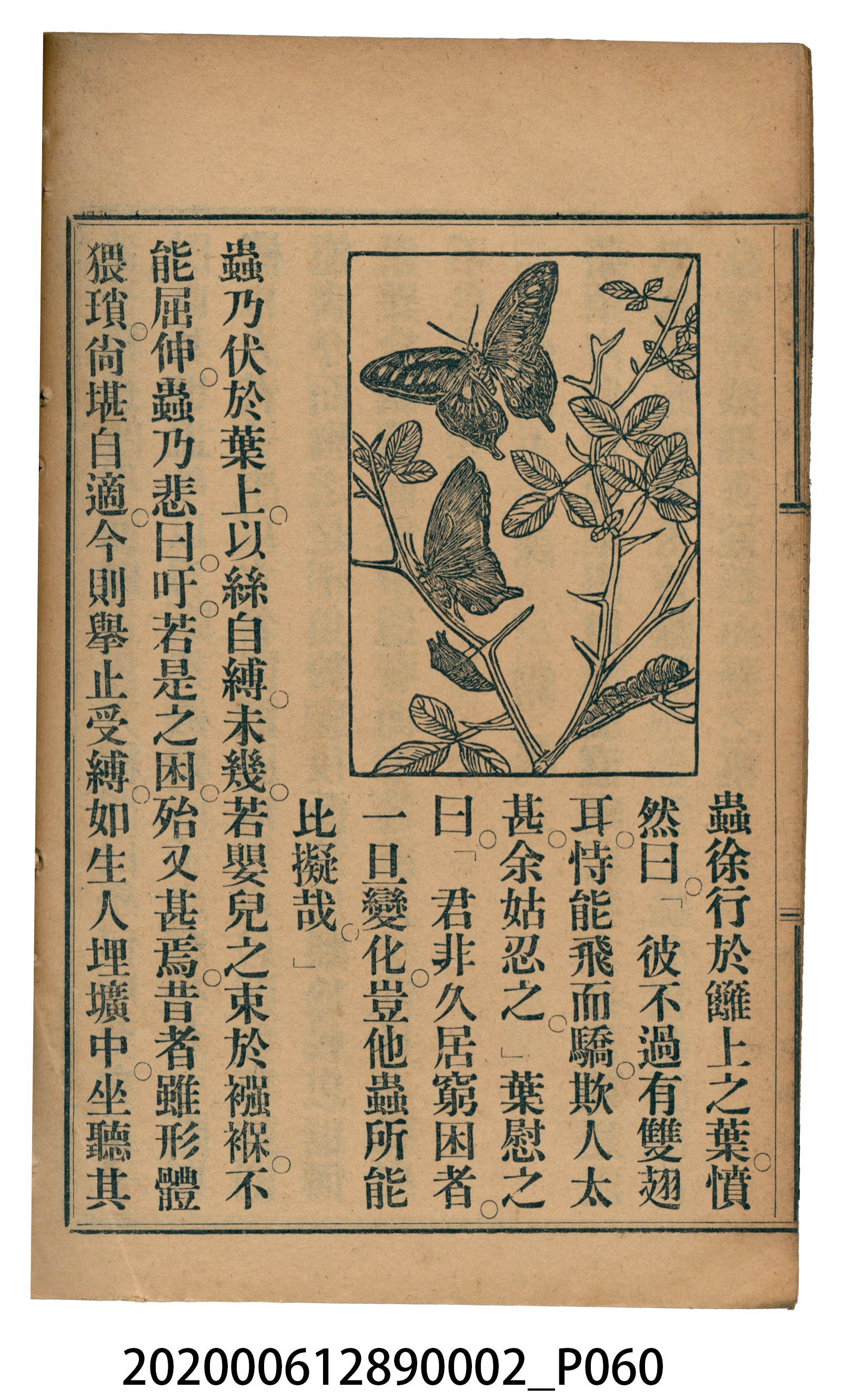 許金波著《中學程度高等漢文讀本第二冊》 (共74張)
