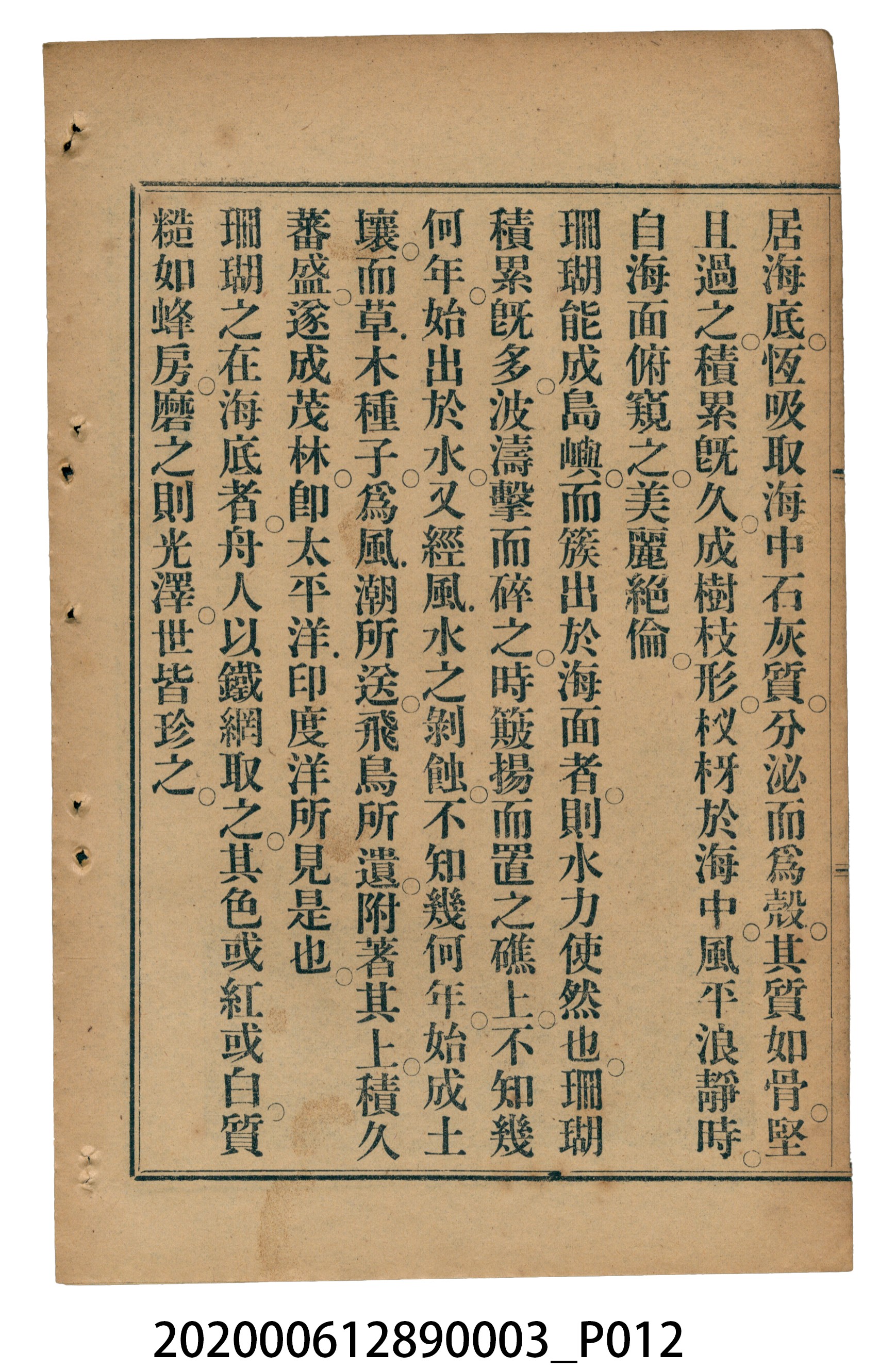 許金波著《中學程度高等漢文讀本第三冊》 (共84張)