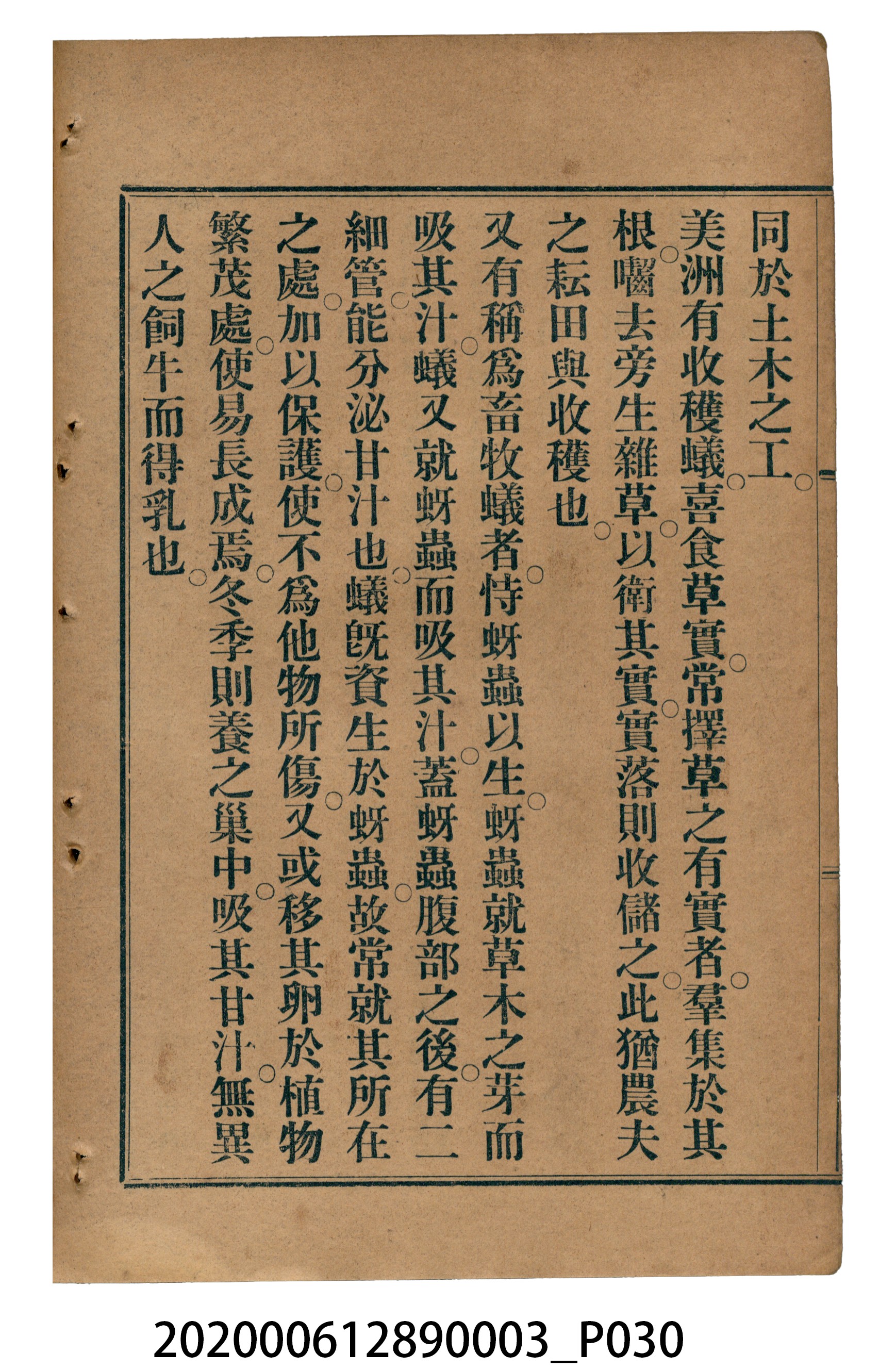 許金波著《中學程度高等漢文讀本第三冊》 (共84張)
