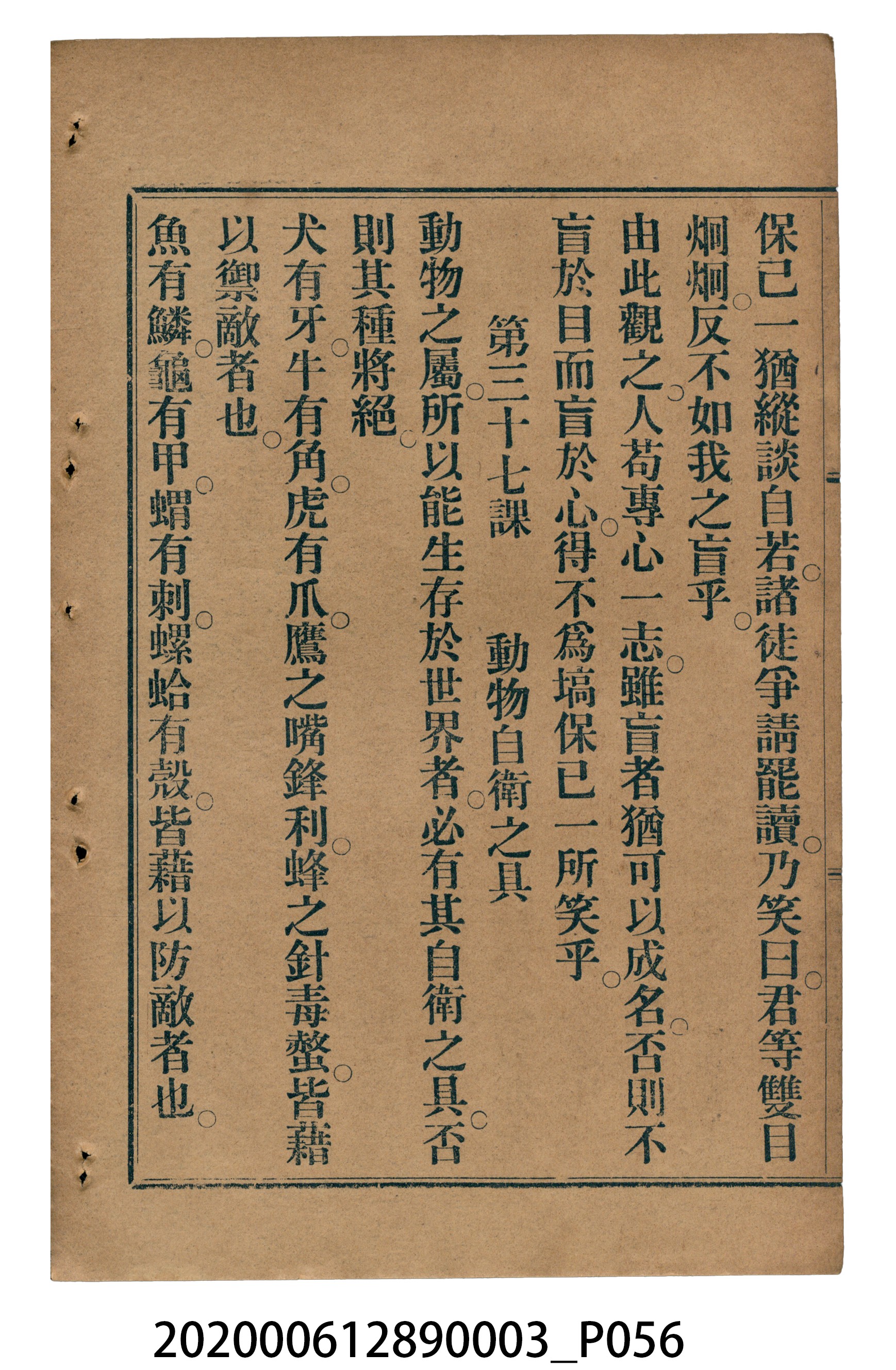 許金波著《中學程度高等漢文讀本第三冊》 (共84張)
