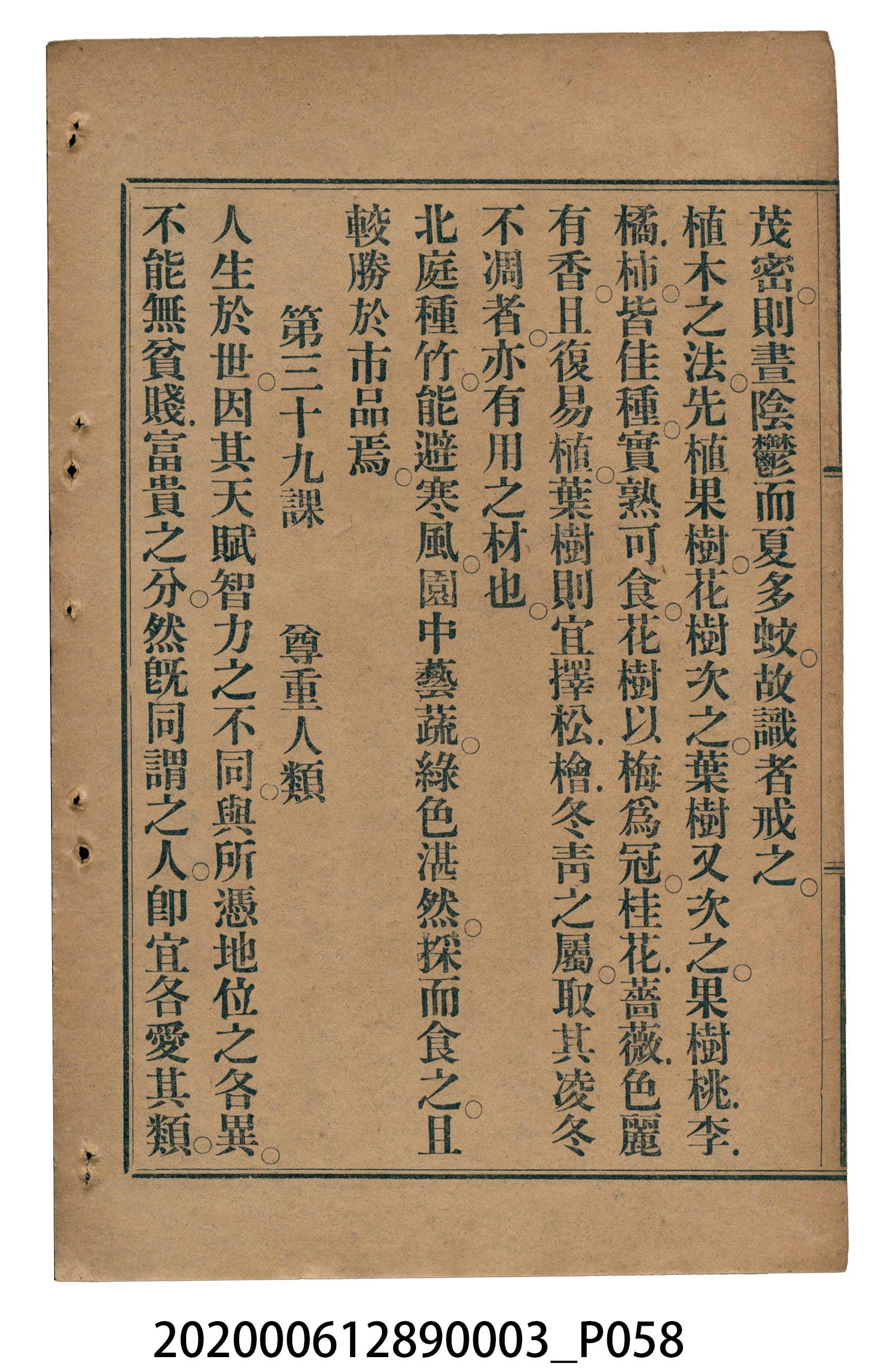 許金波著《中學程度高等漢文讀本第三冊》 (共84張)