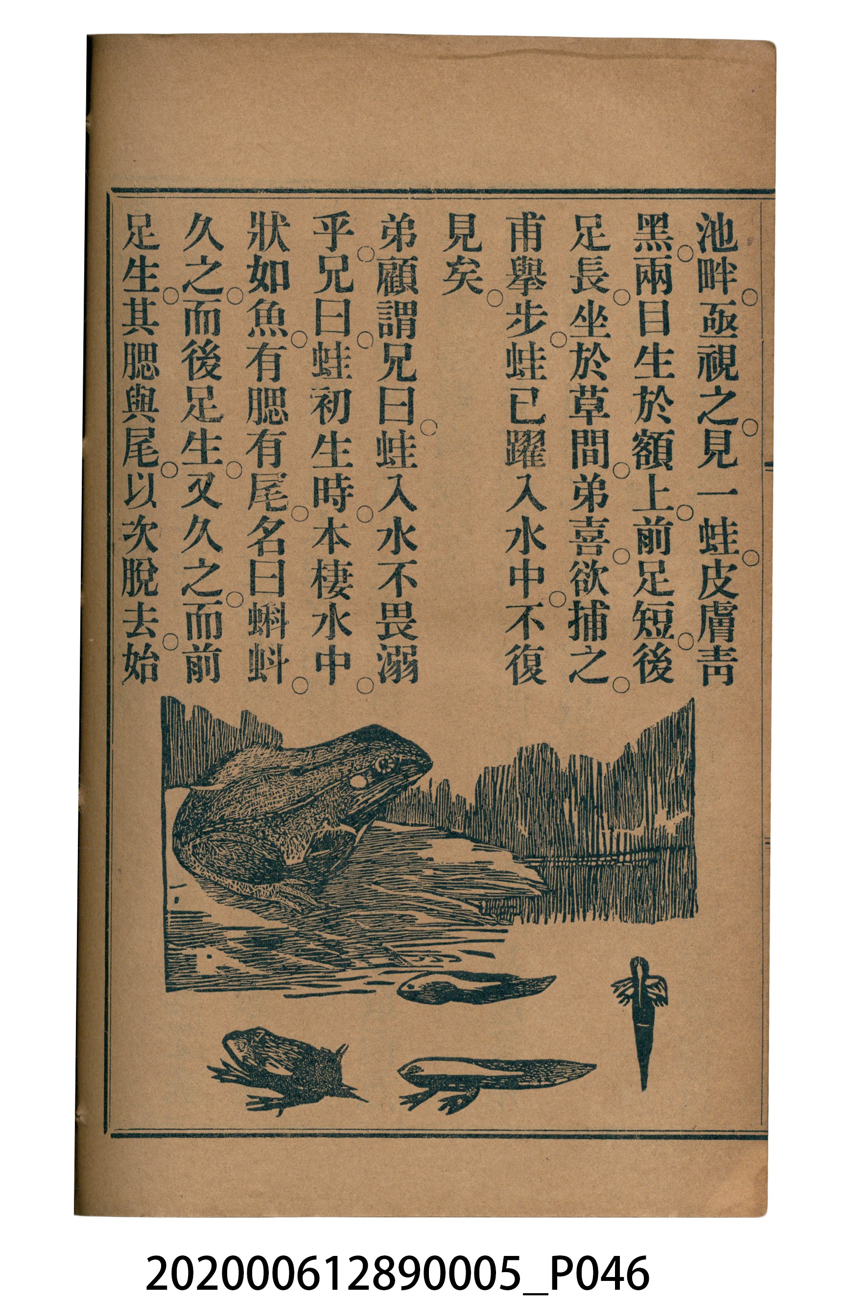 許深溪著《中學程度高等漢文讀本第五冊》 (共96張)