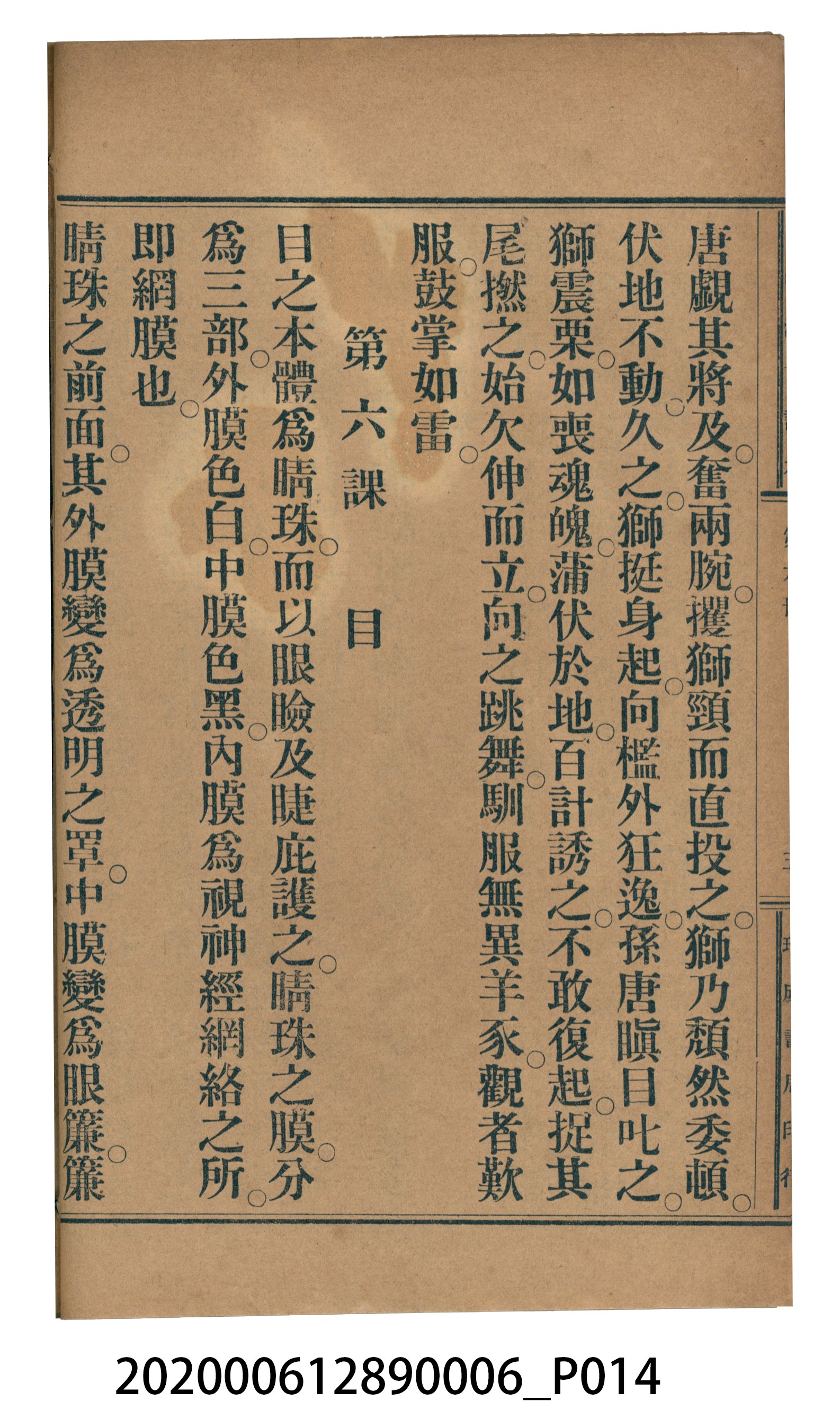 許深溪著《中學程度高等漢文讀本第六冊》 (共102張)