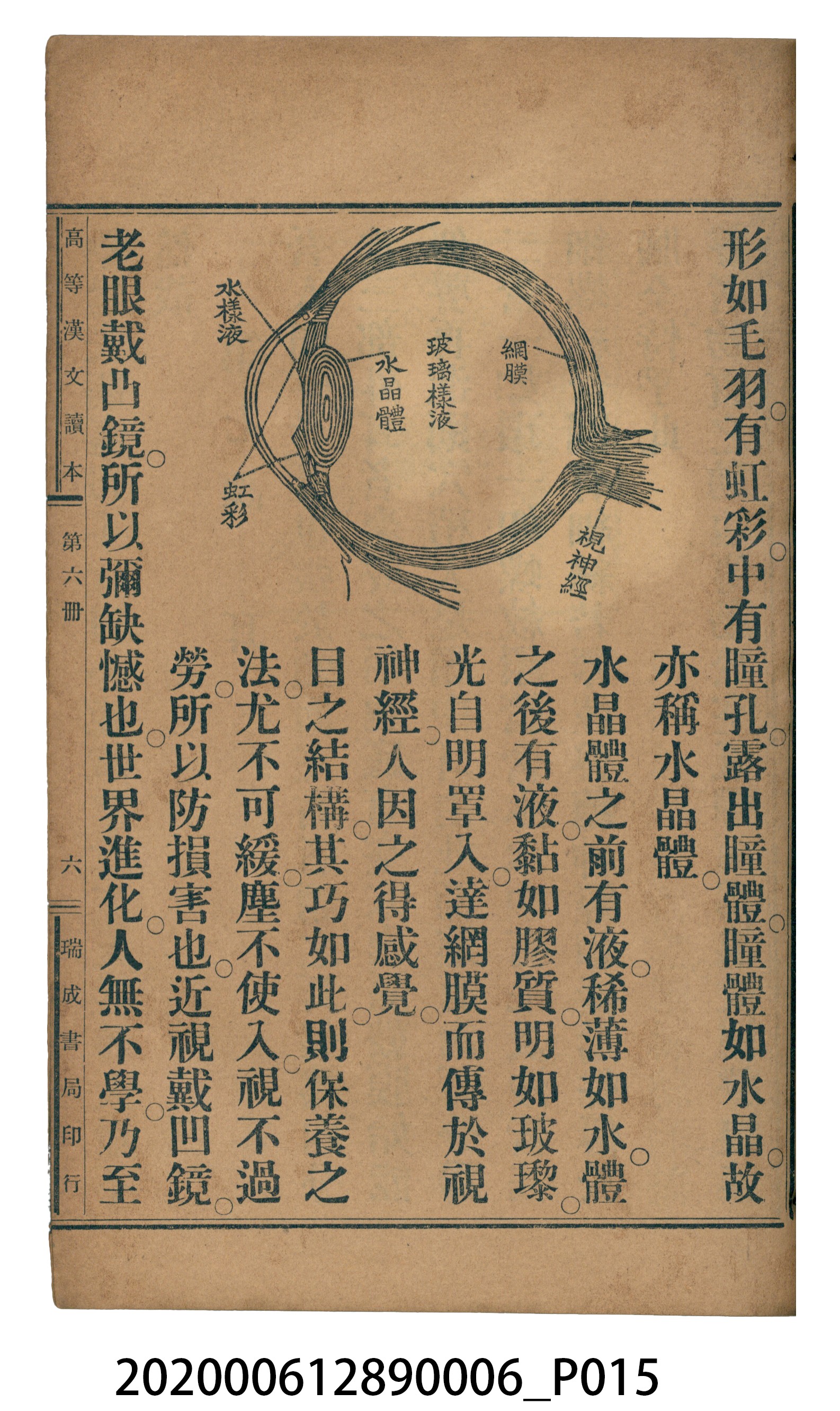 許深溪著《中學程度高等漢文讀本第六冊》 (共102張)