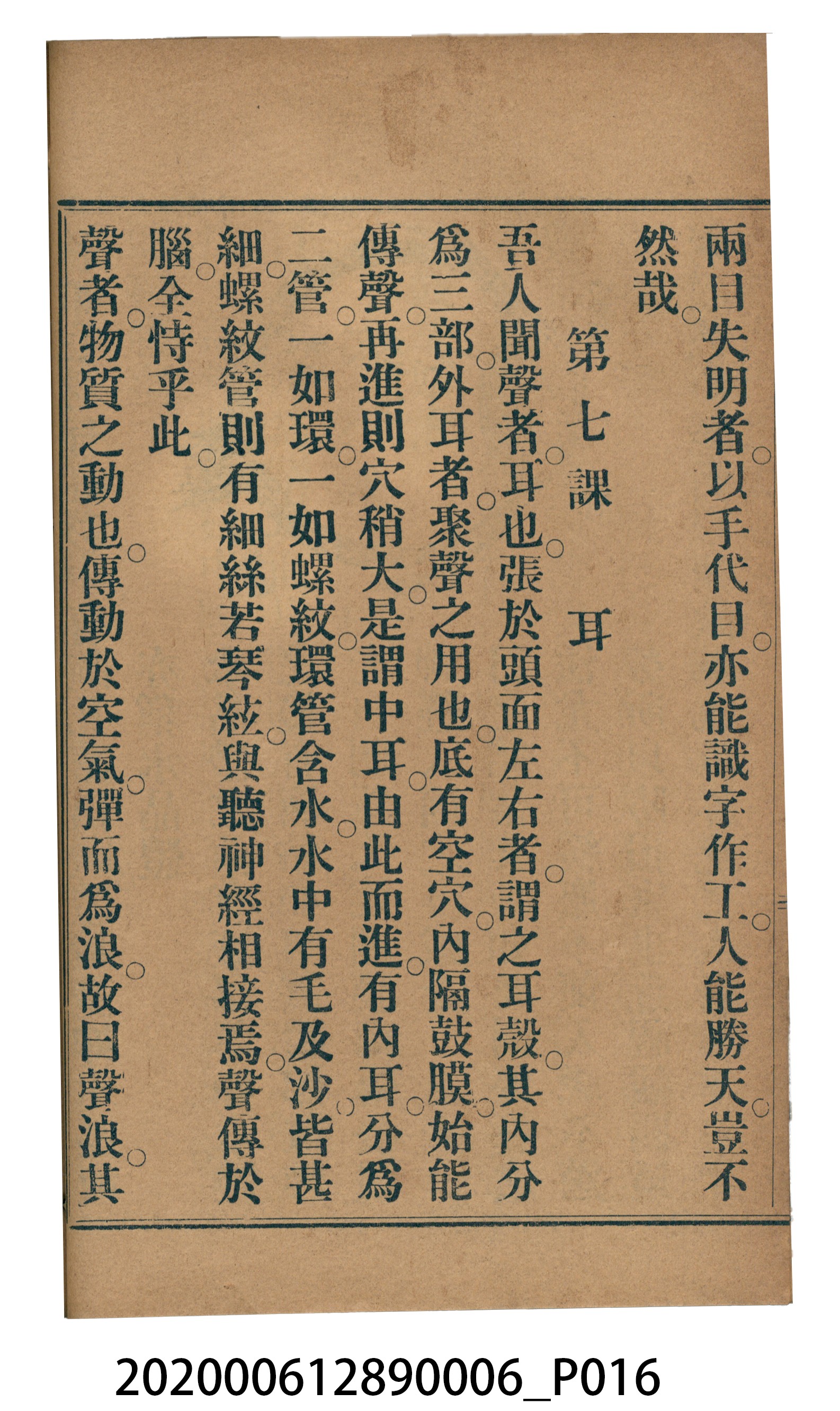 許深溪著《中學程度高等漢文讀本第六冊》 (共102張)