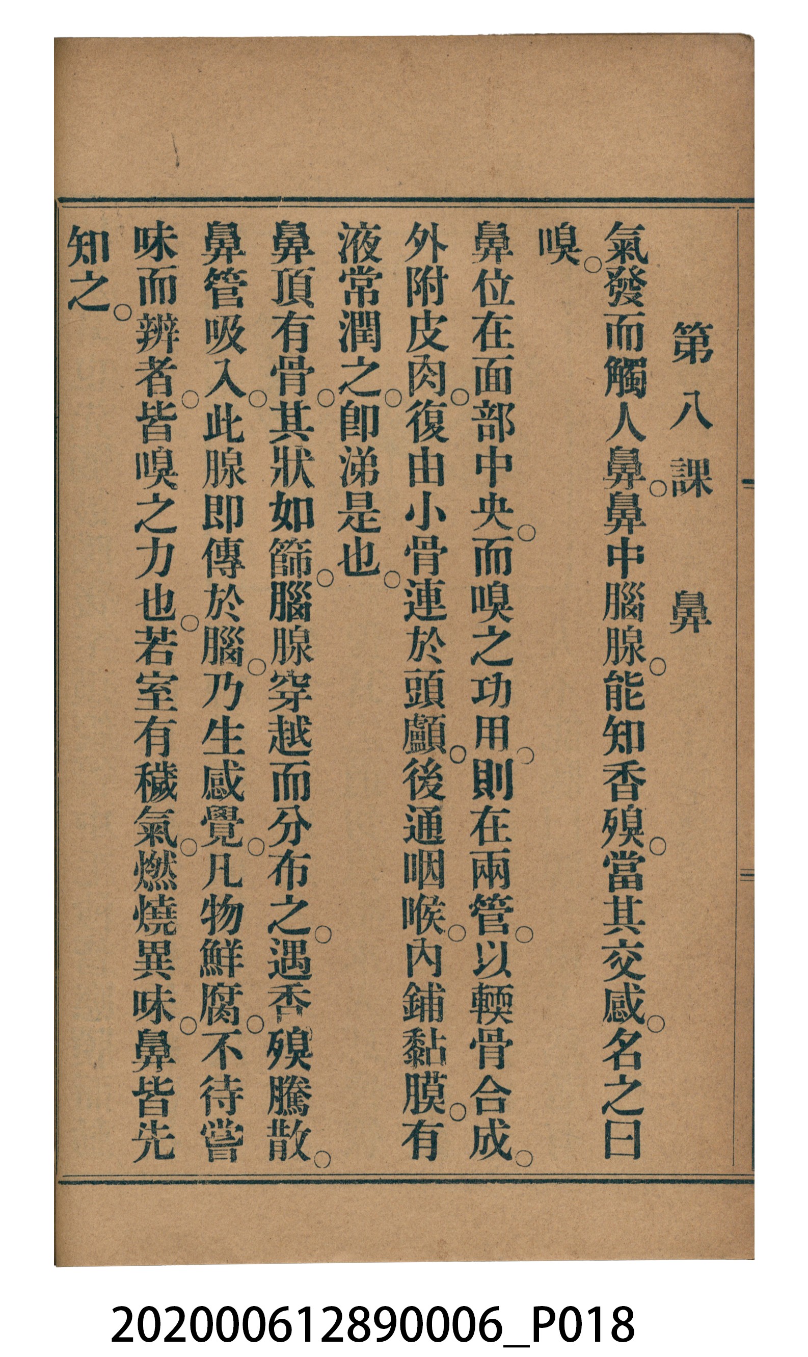 許深溪著《中學程度高等漢文讀本第六冊》 (共102張)