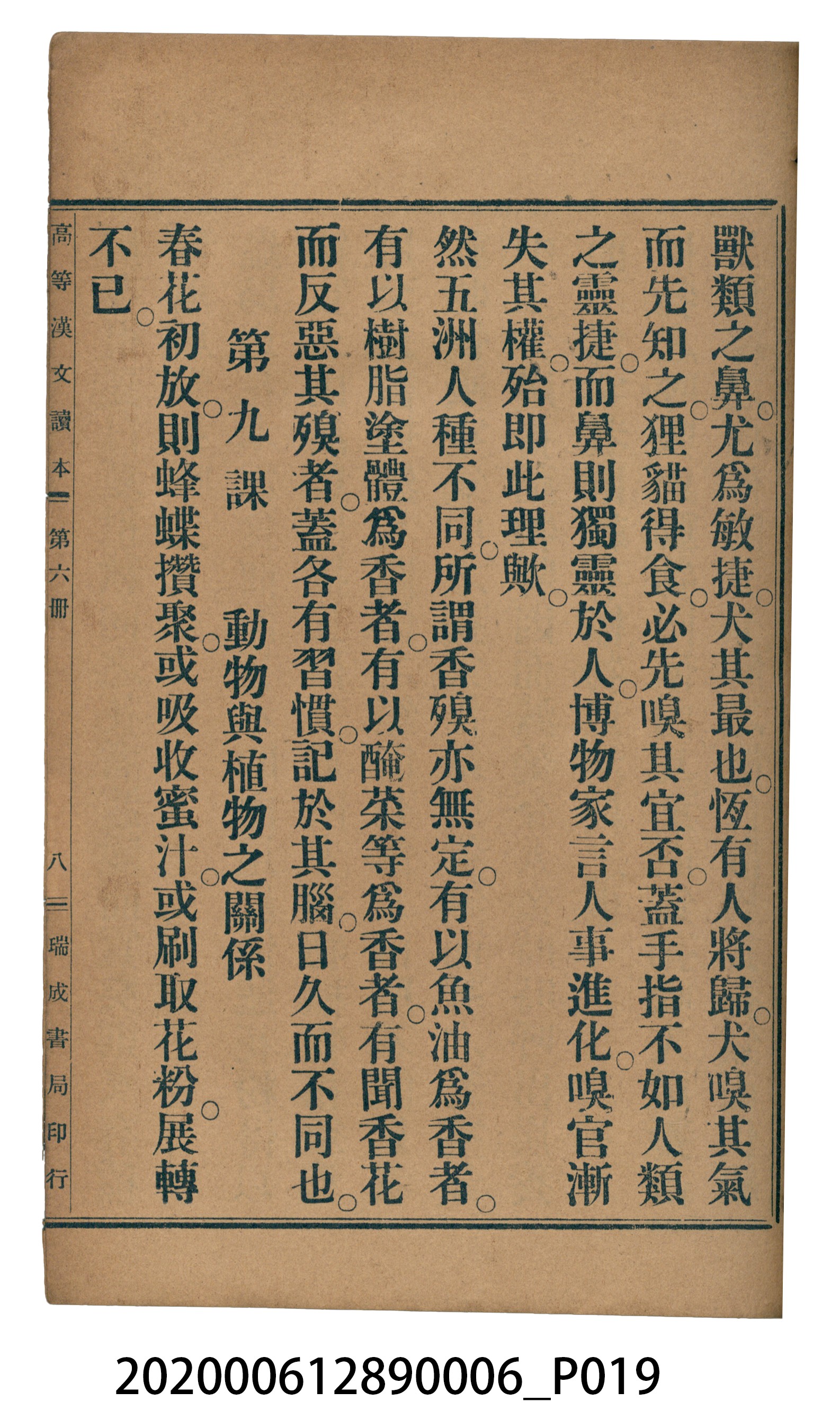 許深溪著《中學程度高等漢文讀本第六冊》 (共102張)