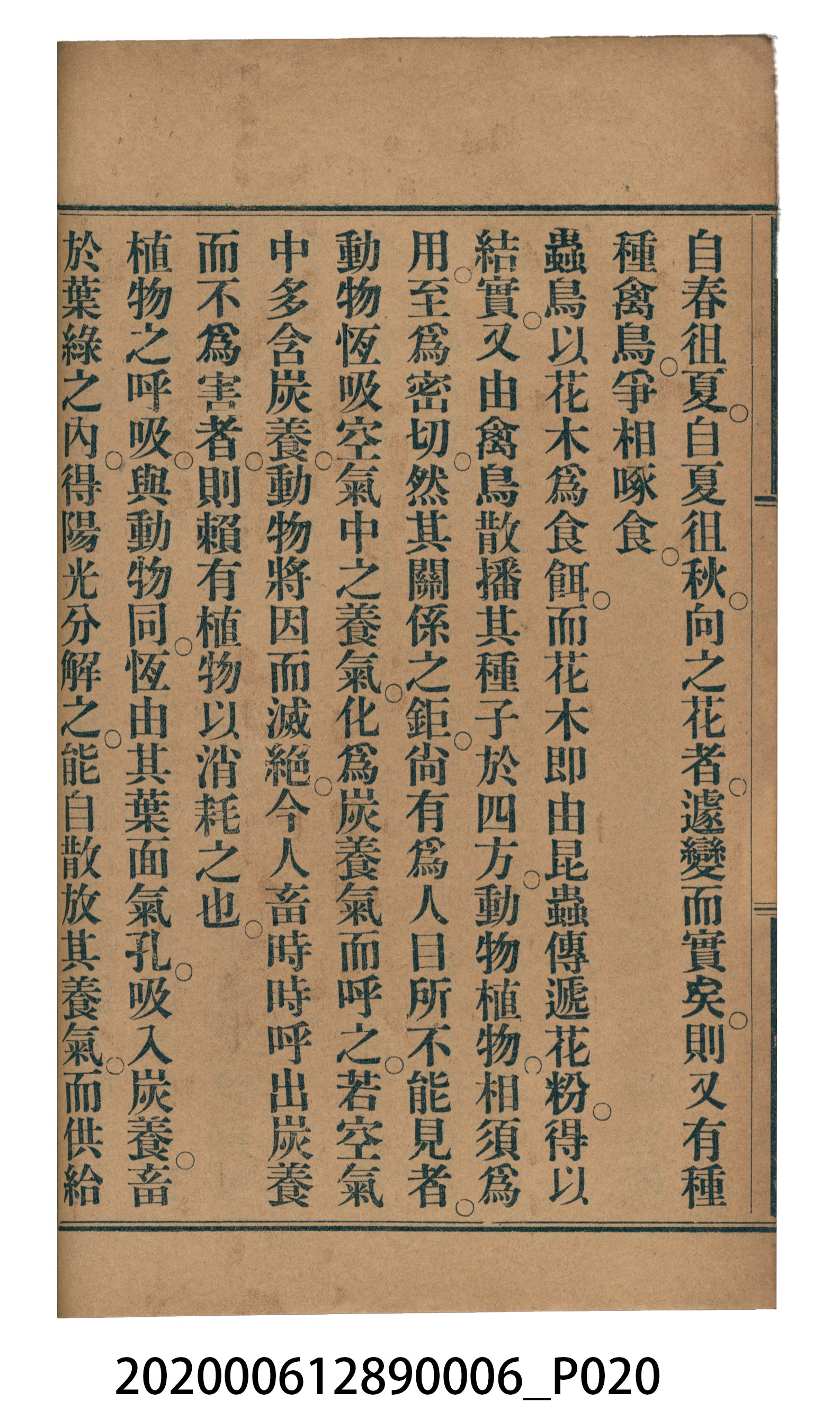 許深溪著《中學程度高等漢文讀本第六冊》 (共102張)