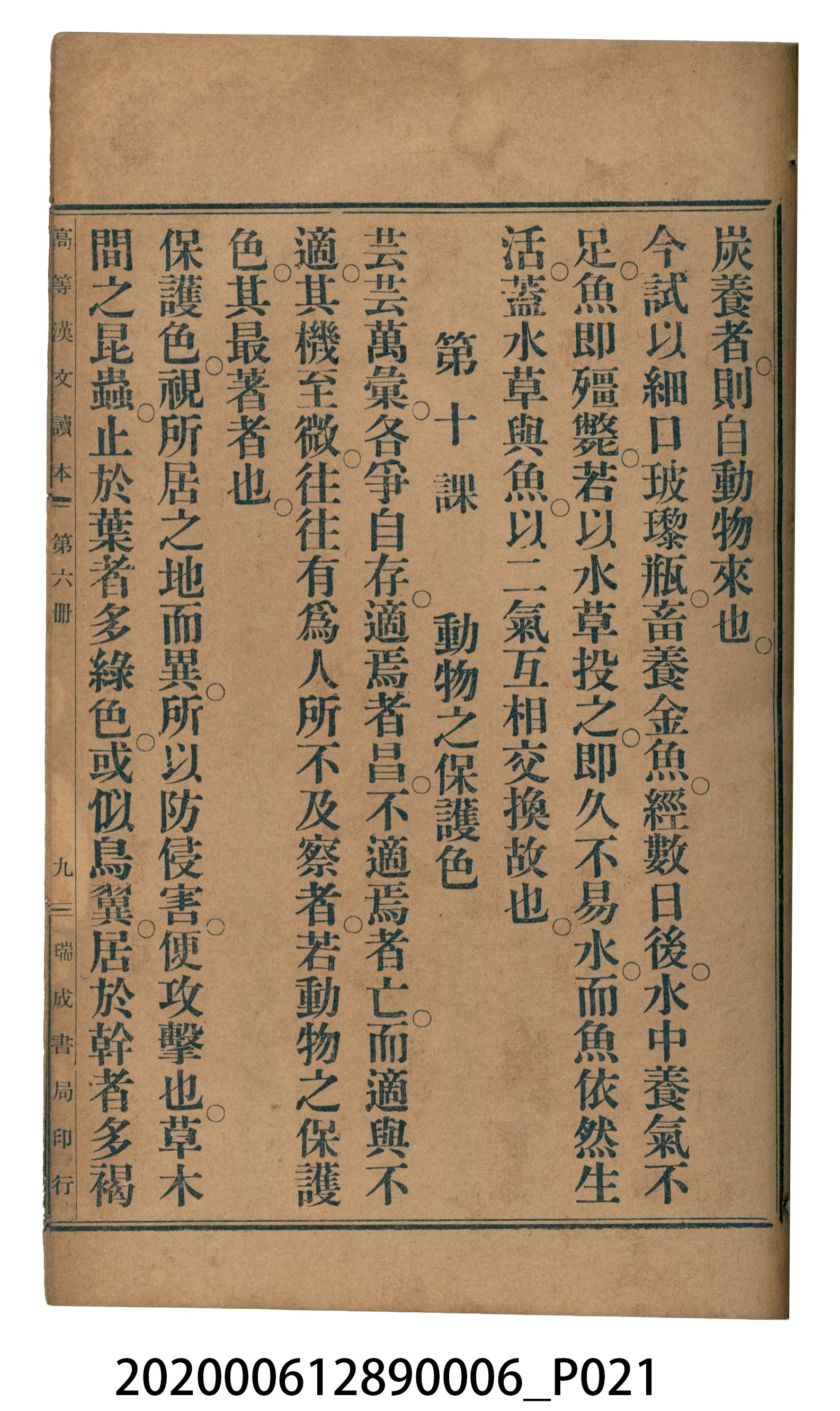 許深溪著《中學程度高等漢文讀本第六冊》 (共102張)