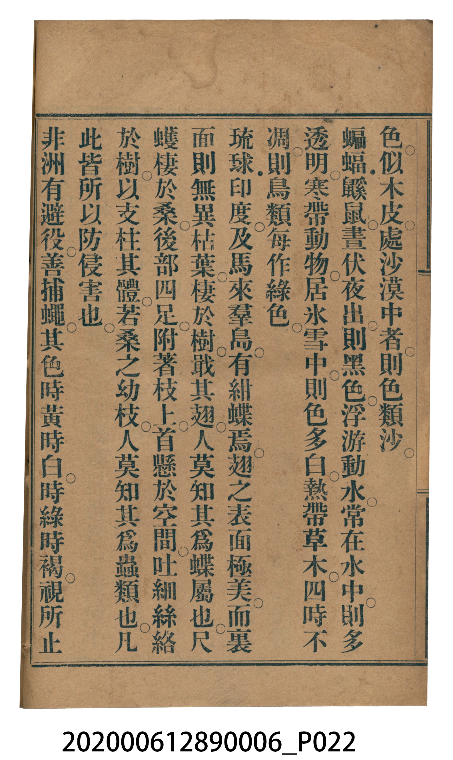 許深溪著《中學程度高等漢文讀本第六冊》 (共102張)