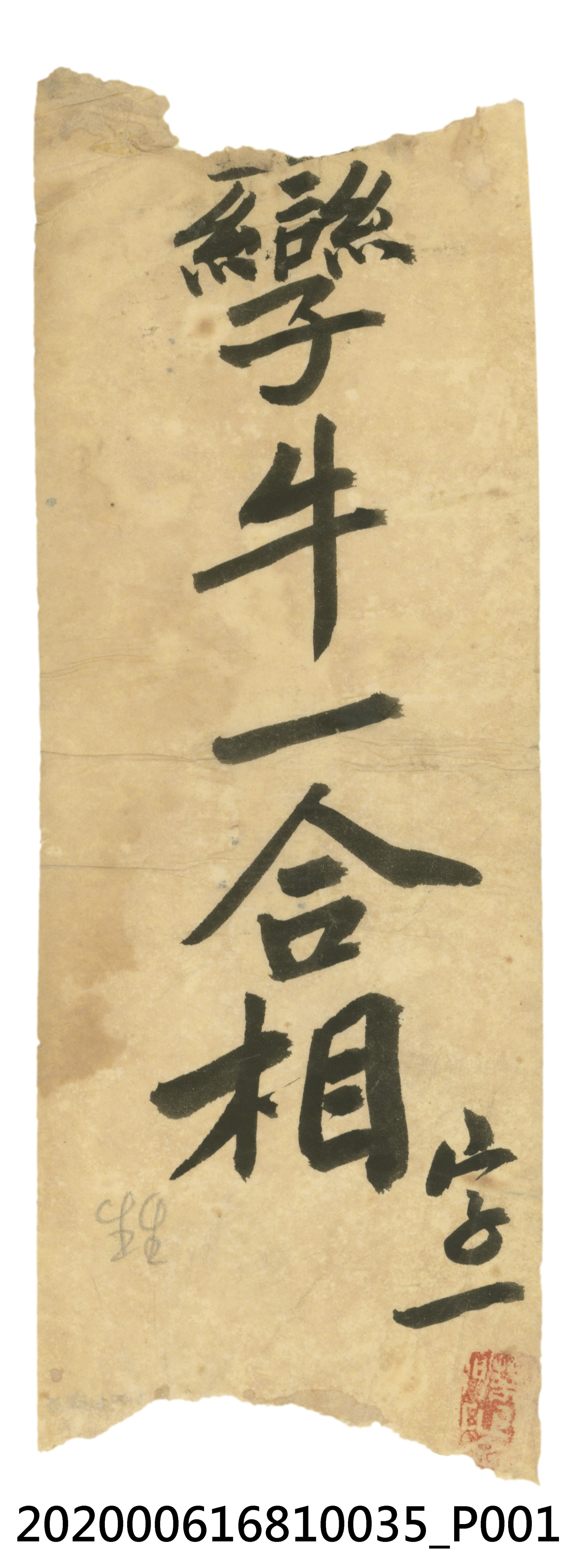 孿牛一合相 (共3張)