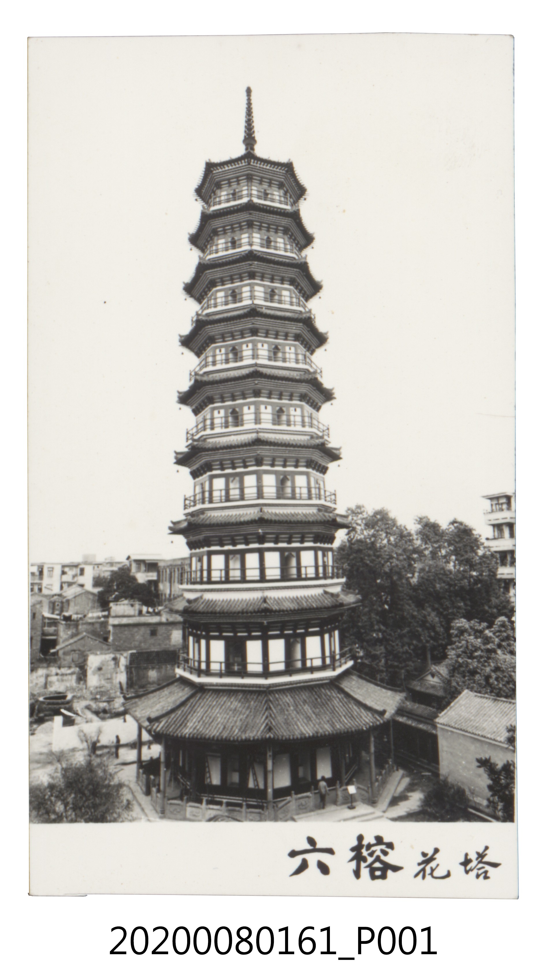 六榕花塔 (共3張)