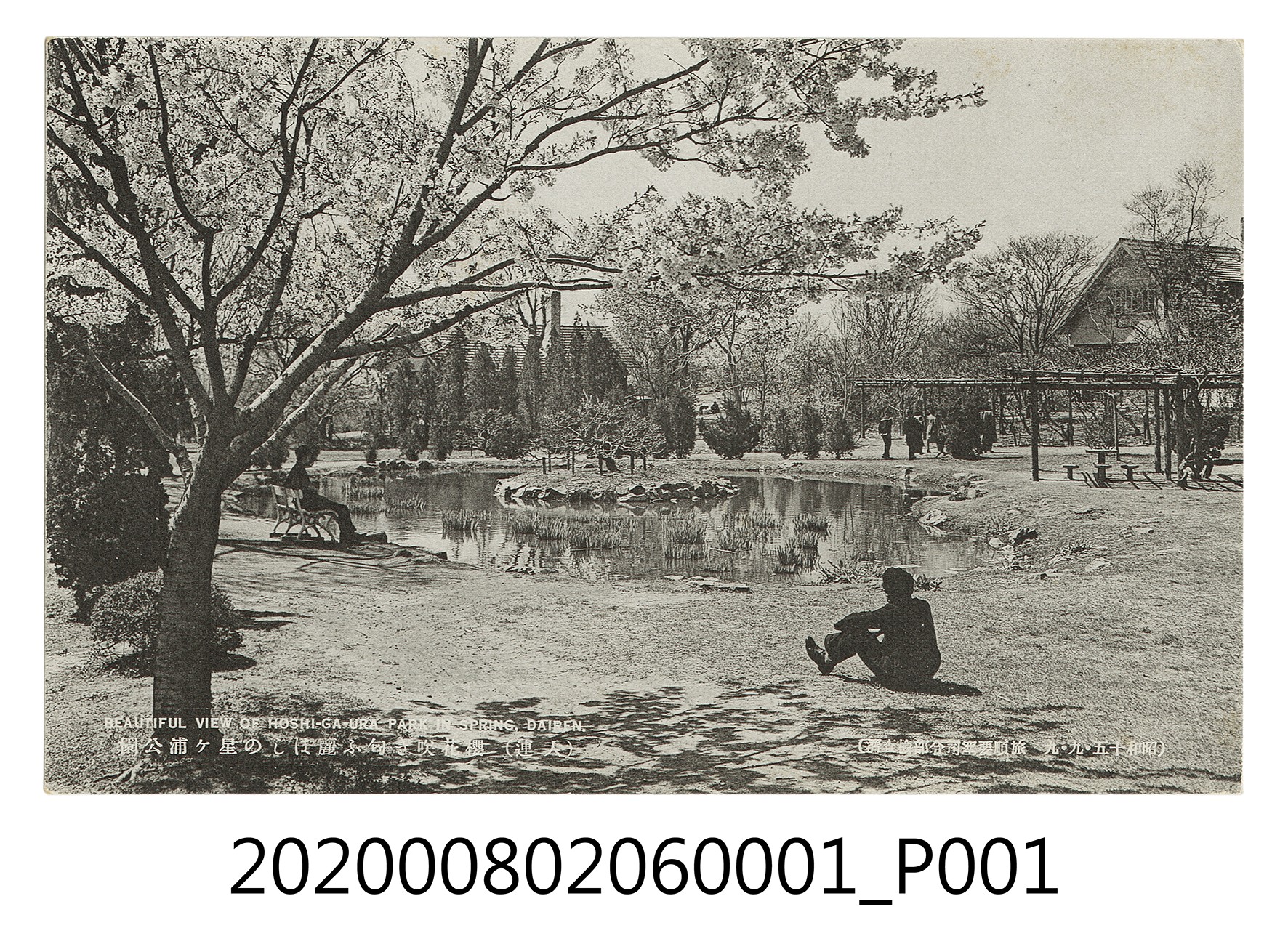大連星ヶ浦公園春日風景 (共2張)