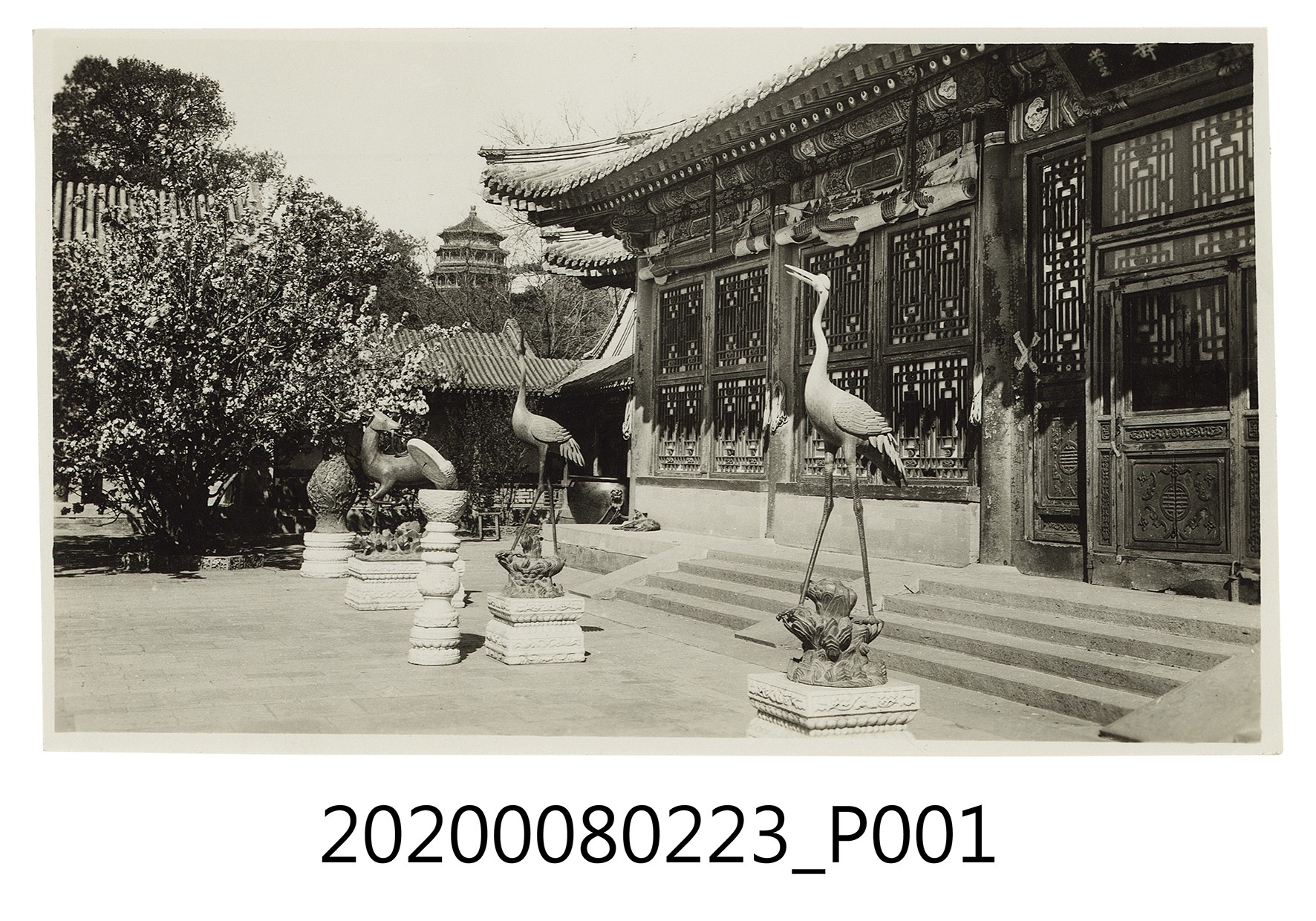 頤和園 皇太后的住所 (共2張)