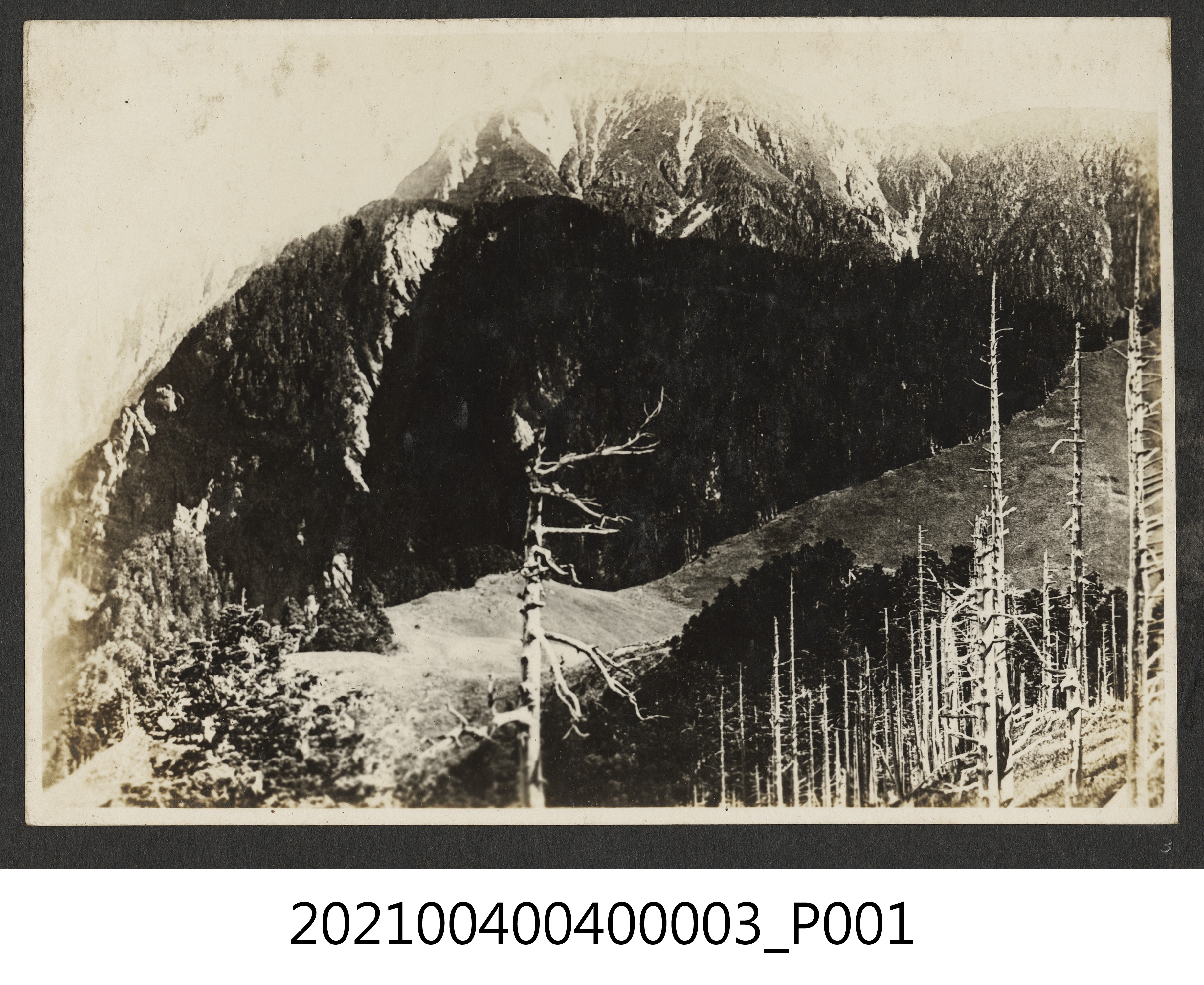 次高山 (共1張)