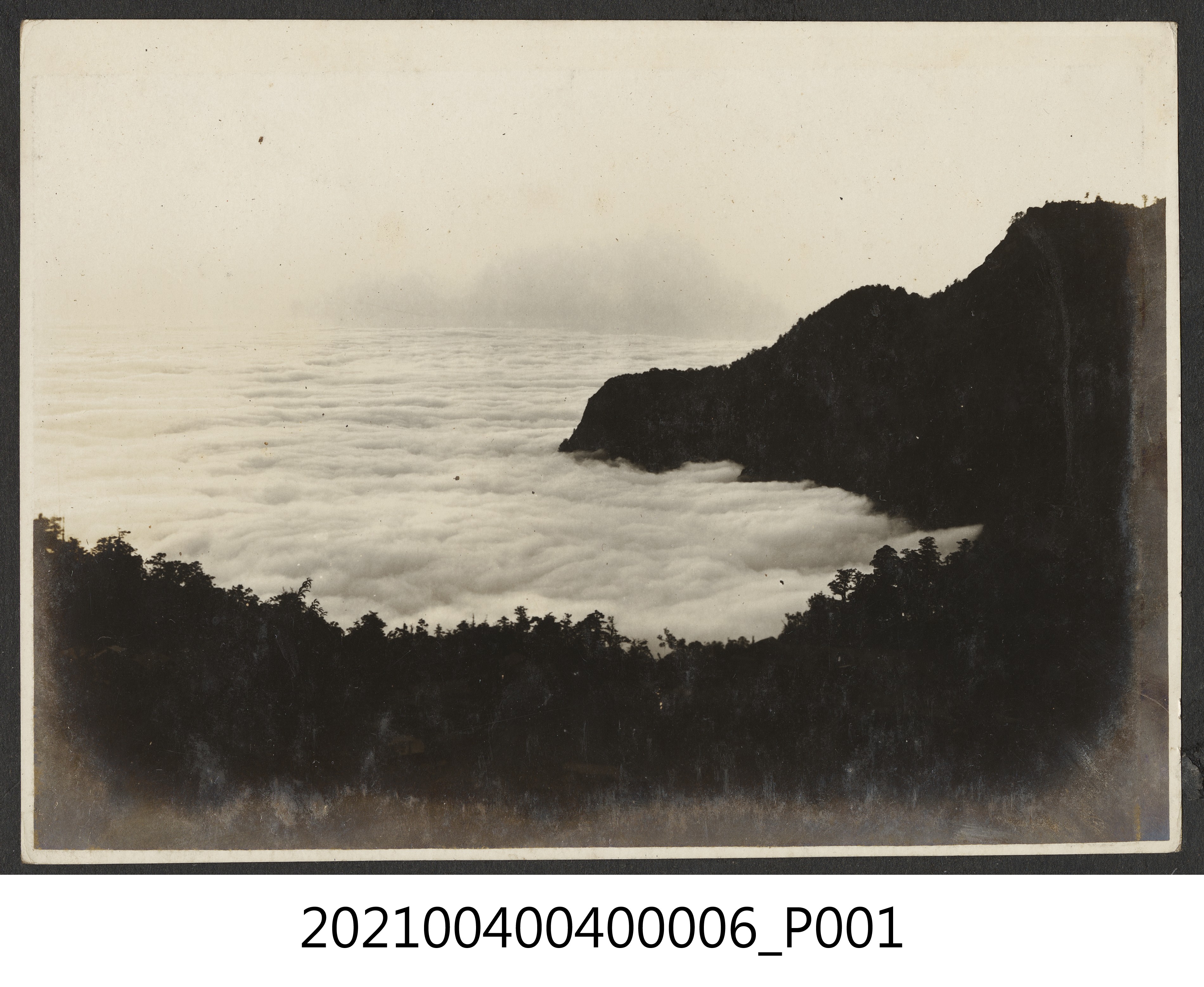 阿里山雲海 (共1張)