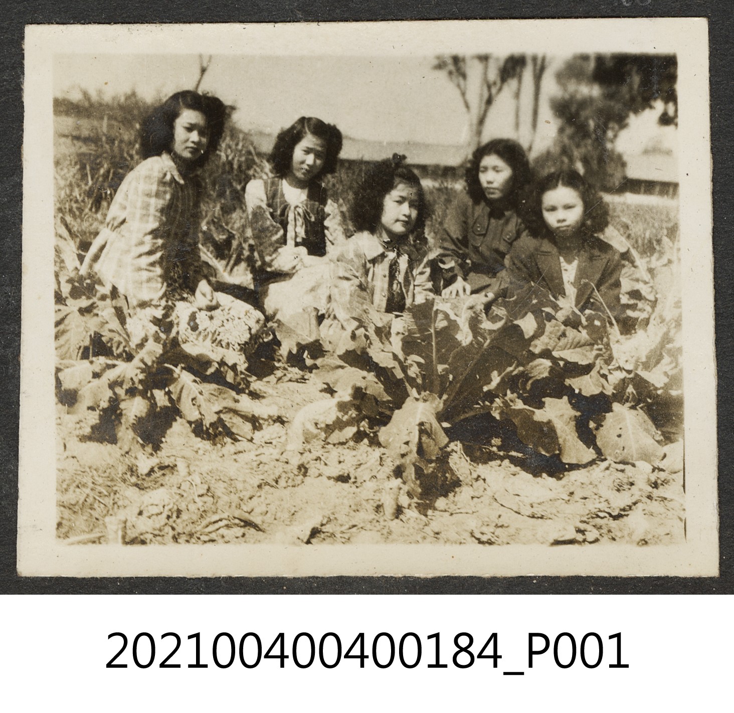 阿益與四女攝於菜園 (共1張)