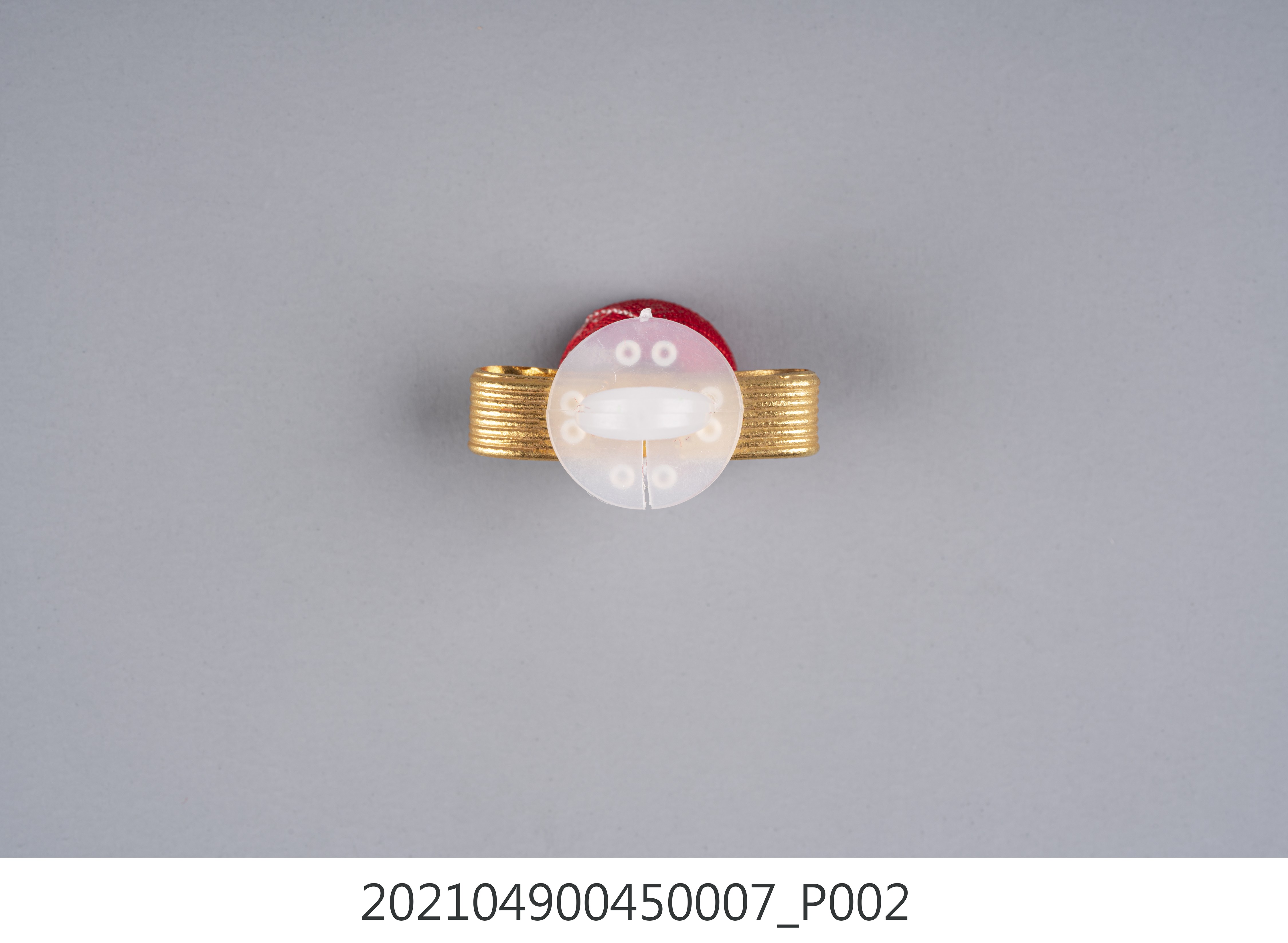 李遠哲2013年巴西國家勳章-科學貢獻國家大十字勳章5 (共7張)