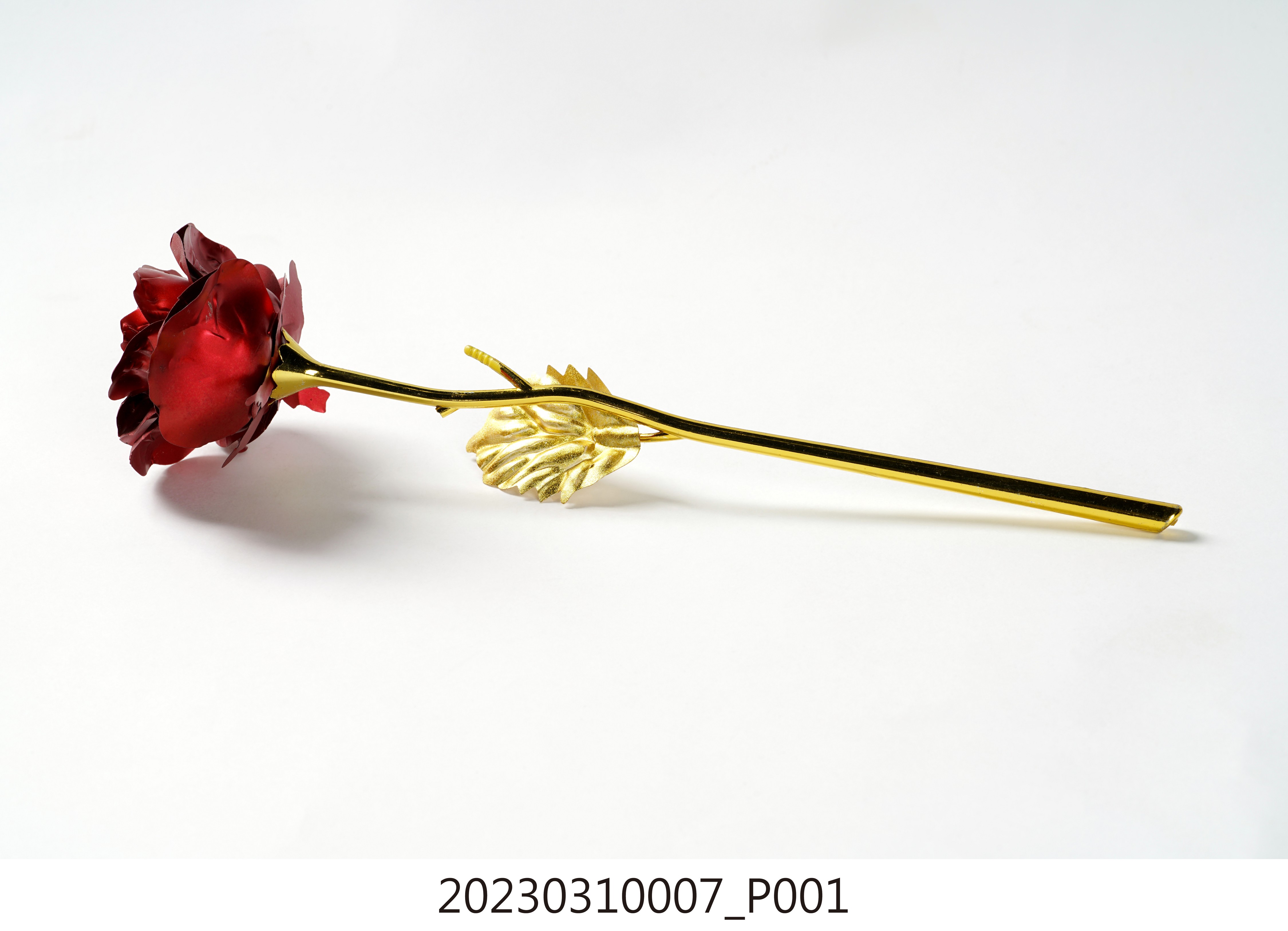曾聖光贈母親之玫瑰花 (共7張)