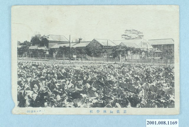 嘉義農林學校 (共2張)