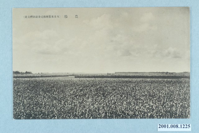 大日本製糖株式會社臺灣支社農場 (共2張)