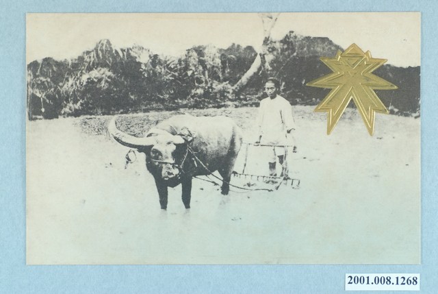 東京日本橋區數寄屋町ともゑ商會製小牛犛田 (共2張)